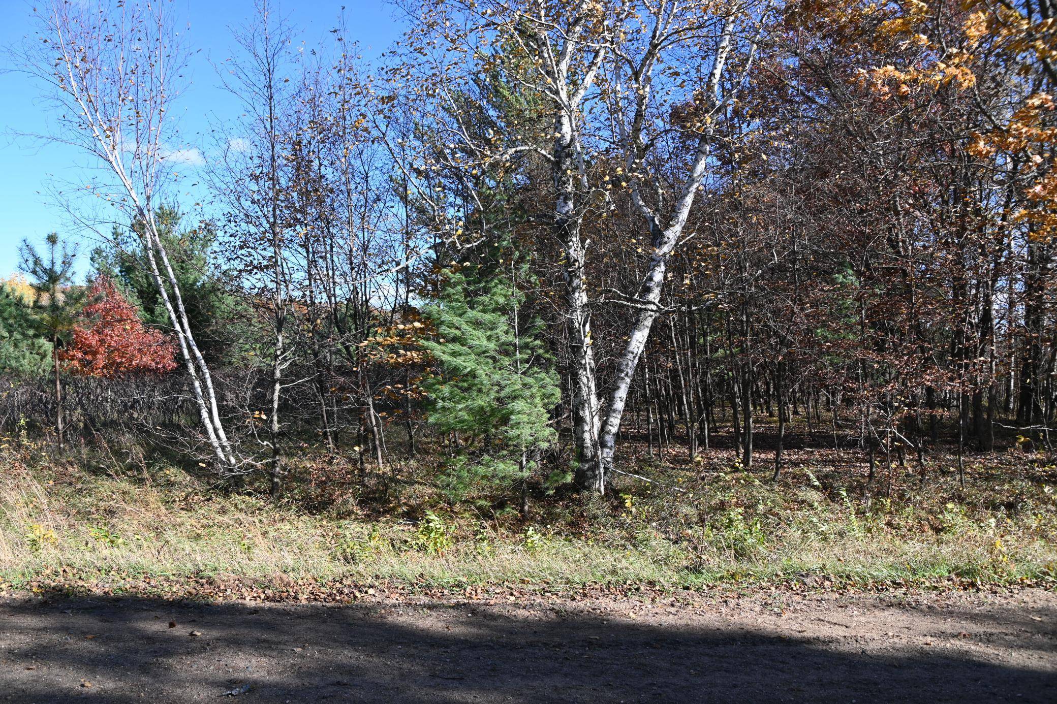 TBD Pacer LOOP, Browerville, MN 56438