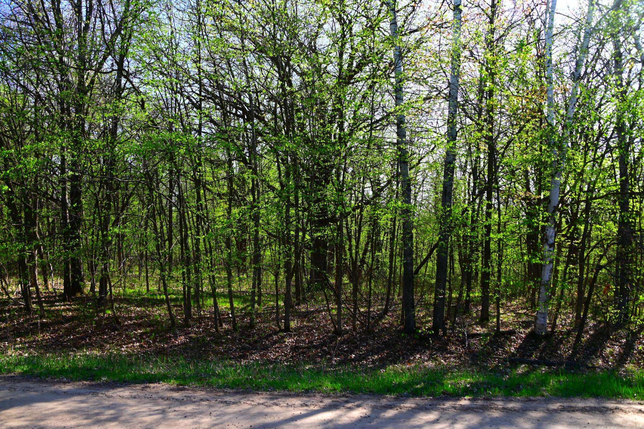28329 orchard DR, Browerville, MN 56438