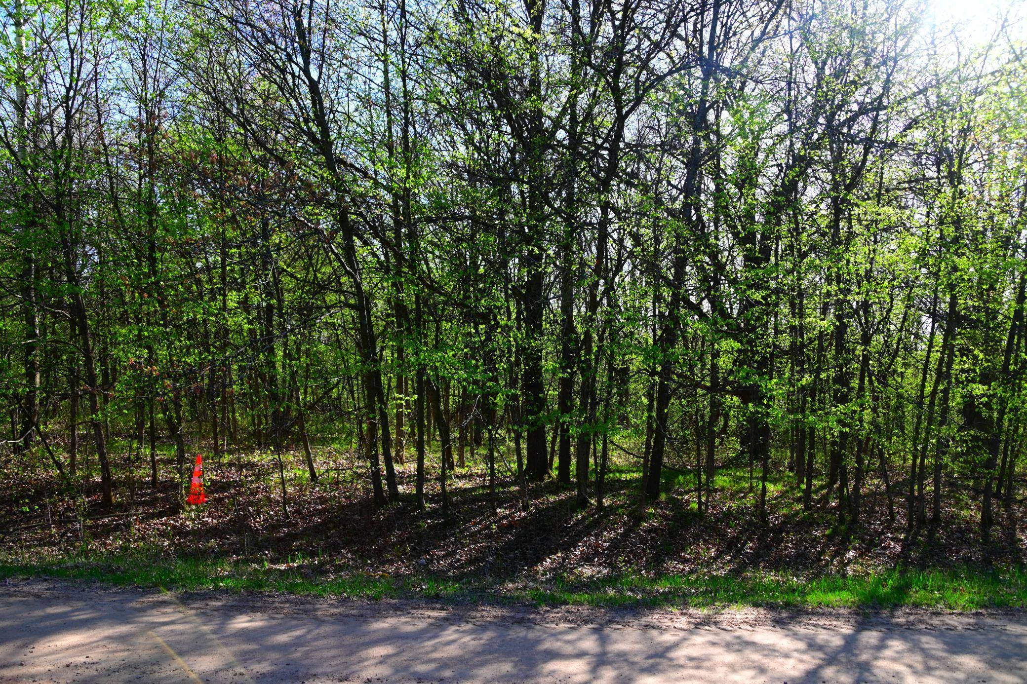 28329 orchard DR, Browerville, MN 56438