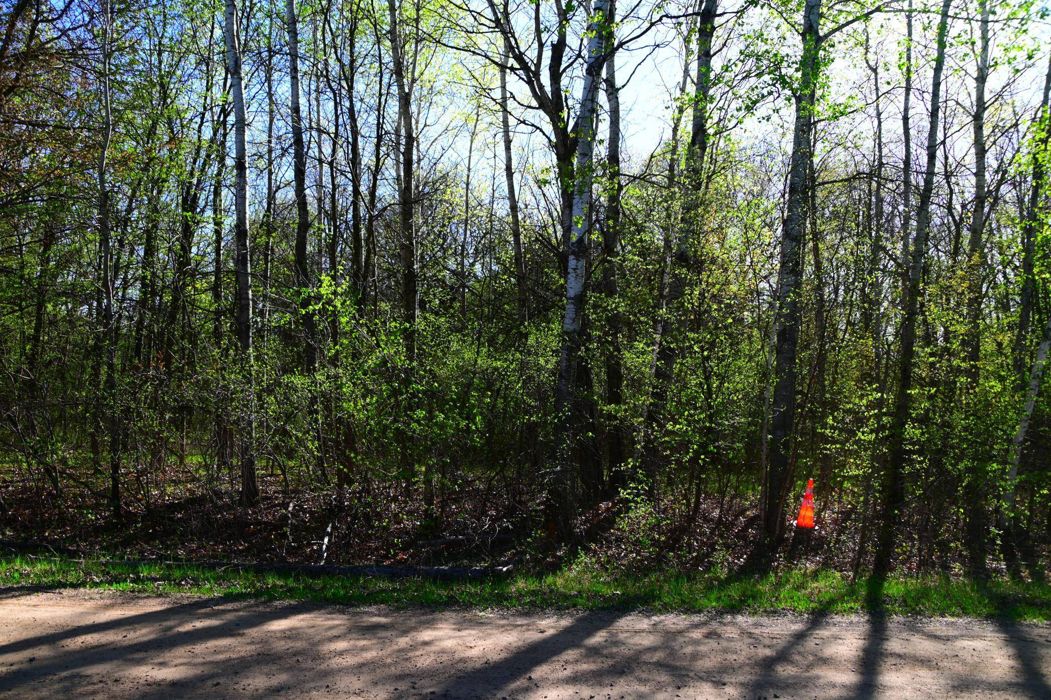 28329 orchard DR, Browerville, MN 56438