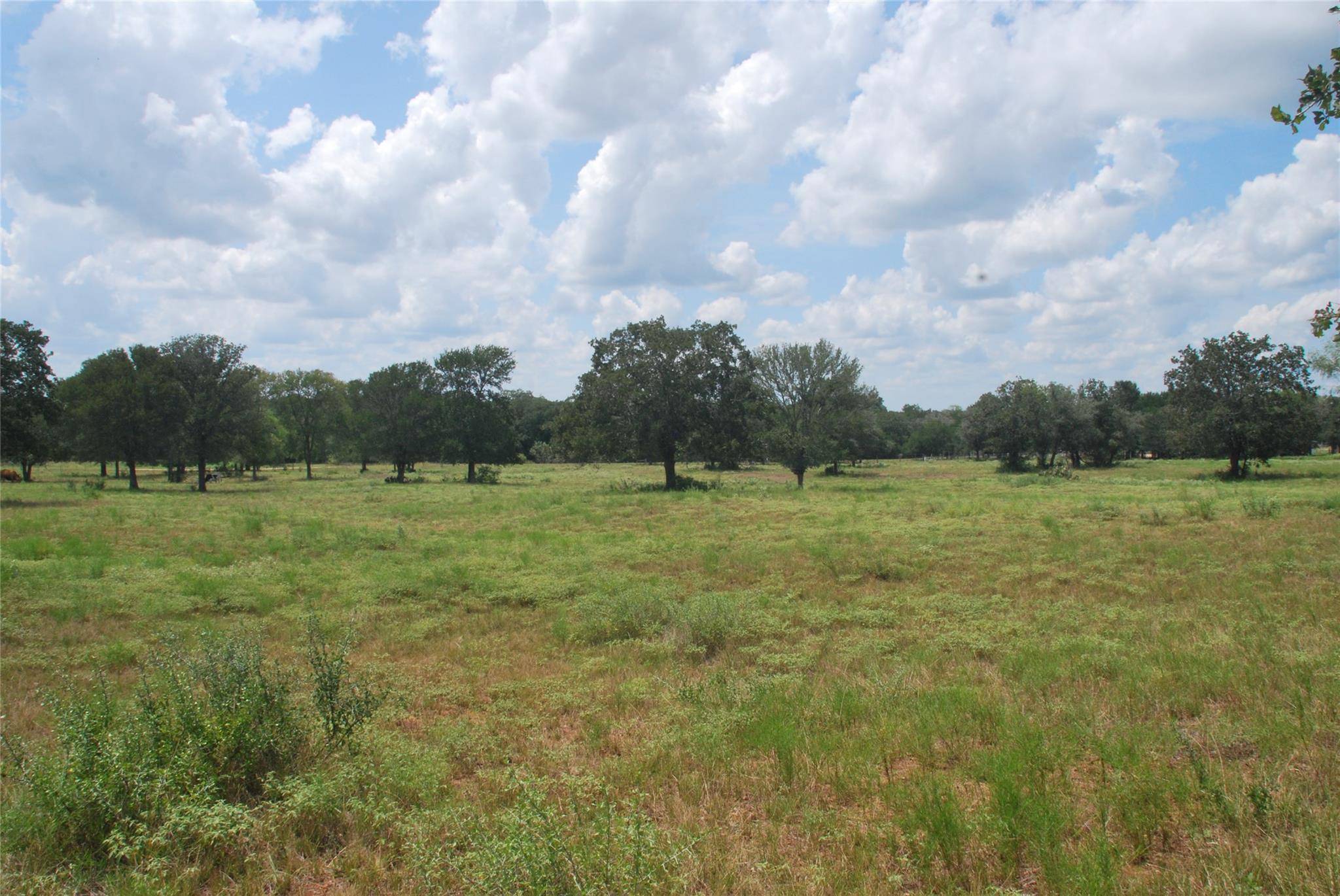 TBD Lot 24 N State Highway 95, Flatonia, TX 78941
