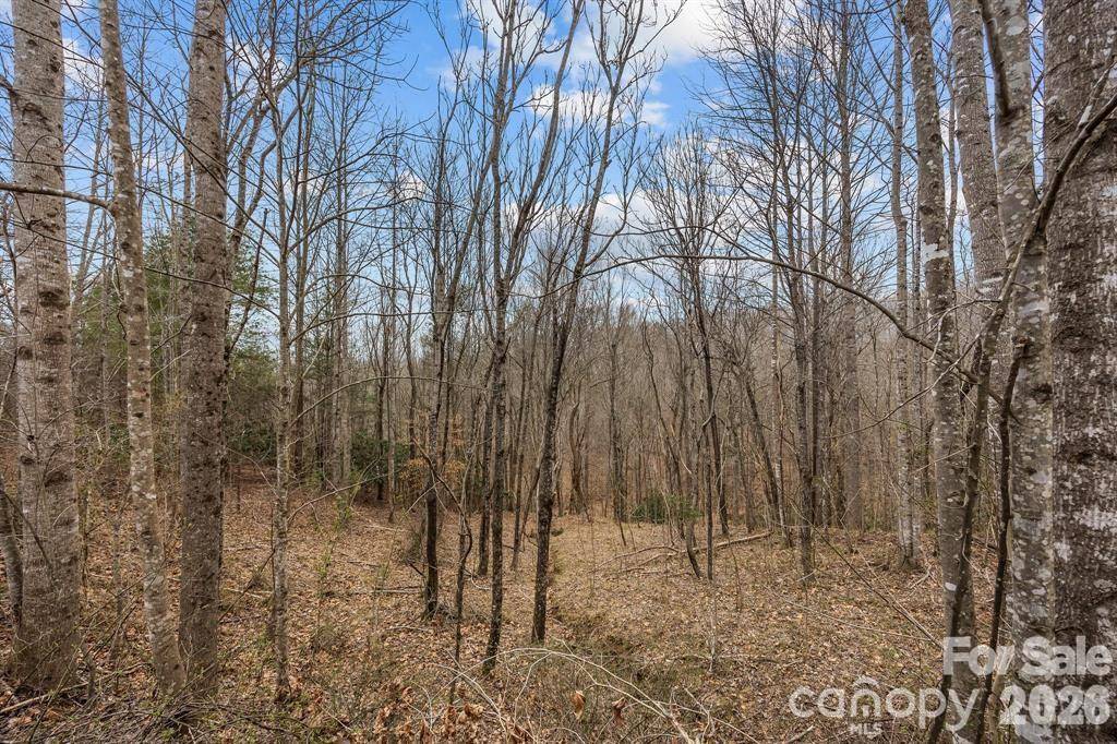 Lot 106 Glenhaven DR, Marion, NC 28752