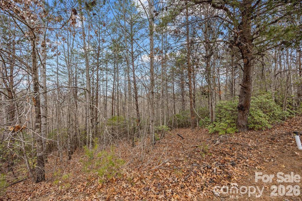 Lot 107 Glenhaven DR, Marion, NC 28752