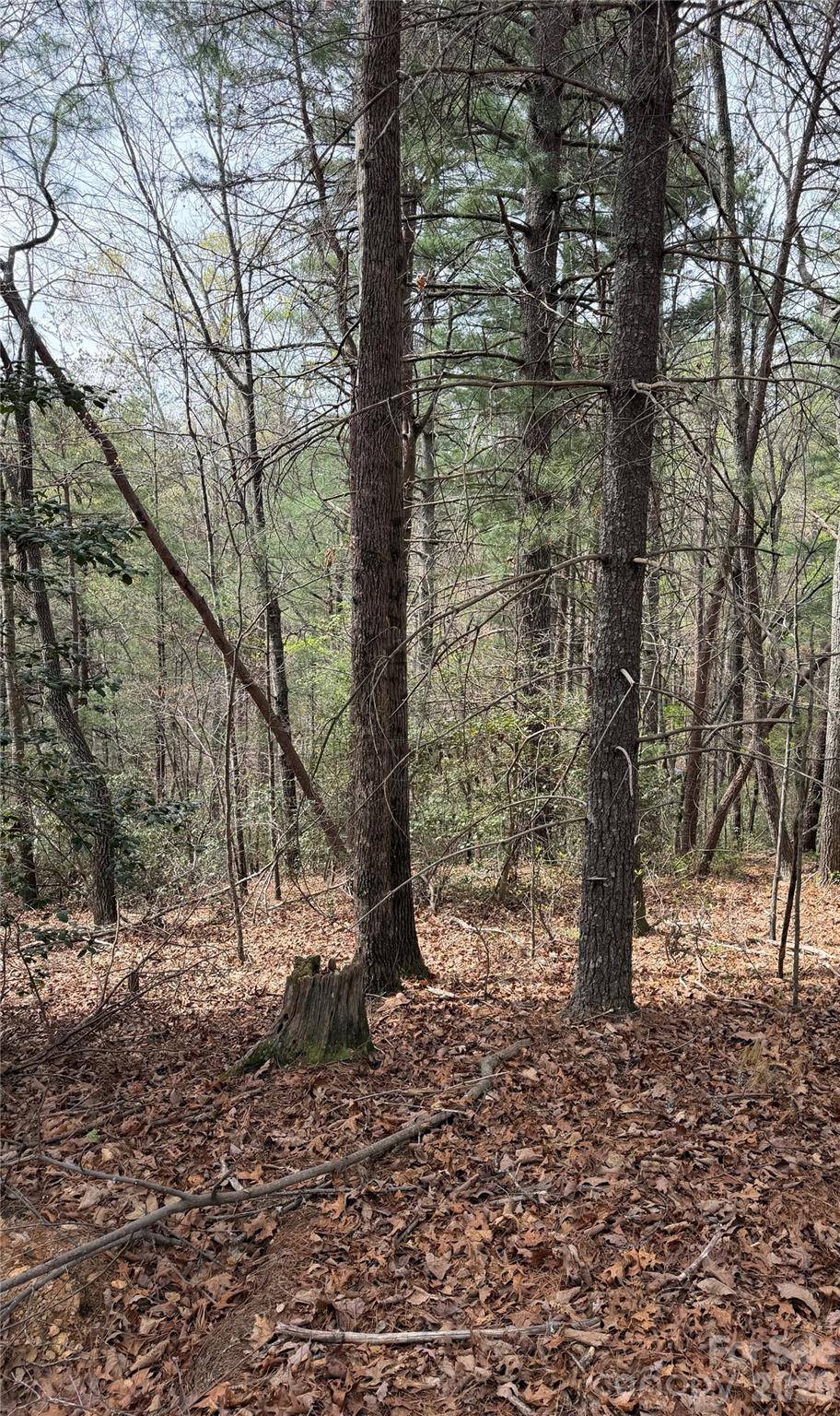 5080 Tucker DR, Morganton, NC 28655