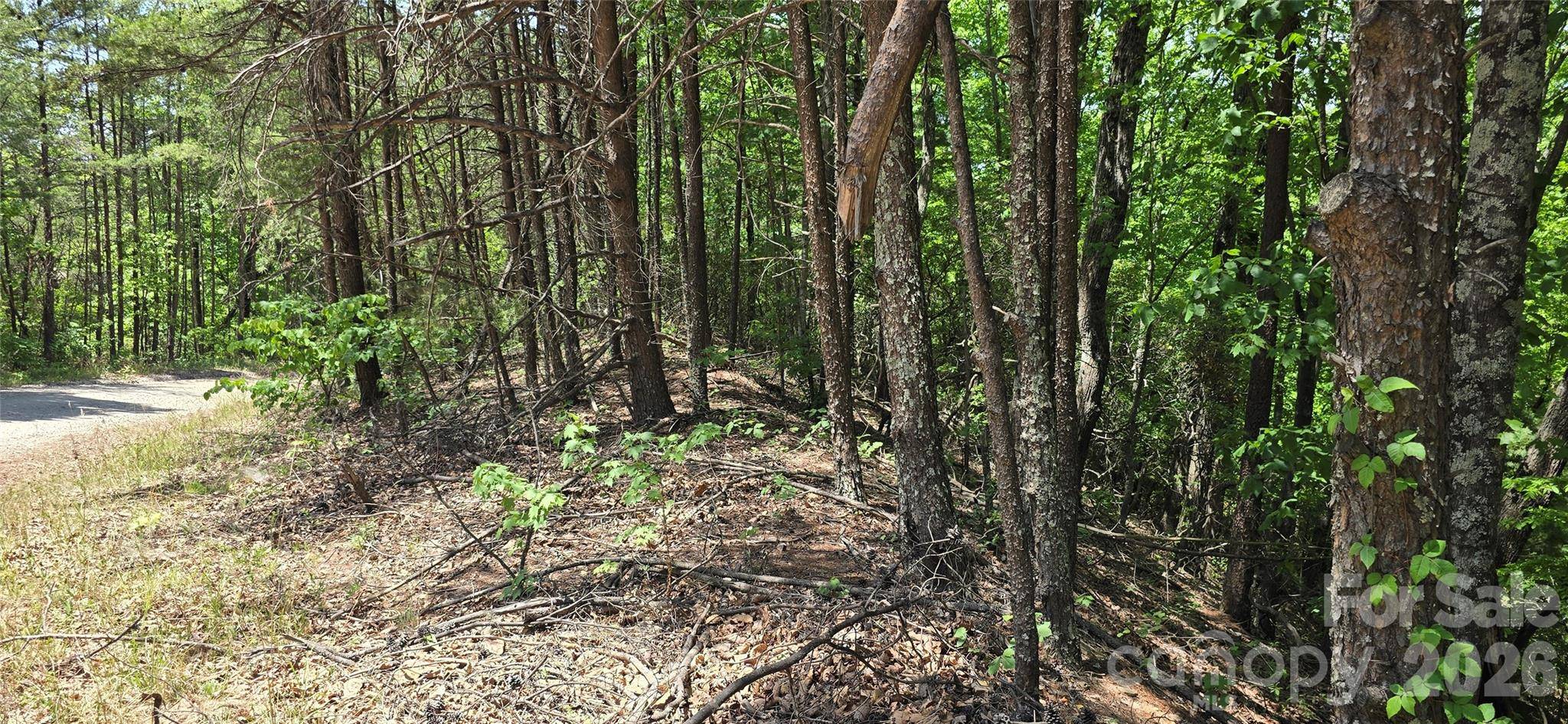 Lot 22B Pinnacle Pkwy, Union Mills, NC 28167