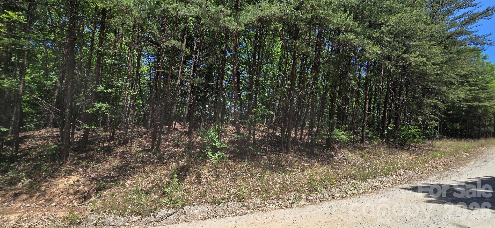 Lot 22B Pinnacle Pkwy, Union Mills, NC 28167