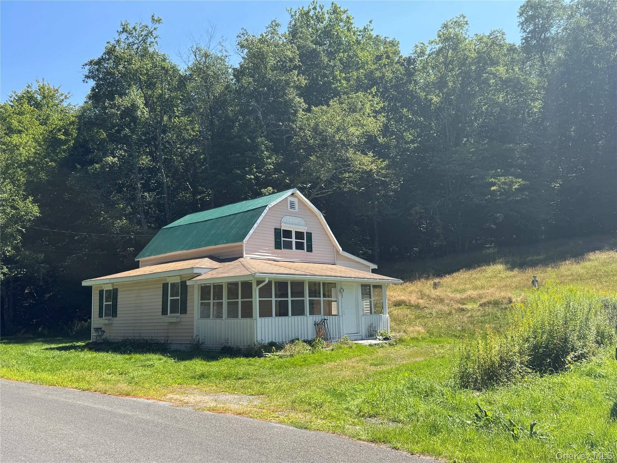 31 Willowemoc RD, Livingston Manor, NY 12758