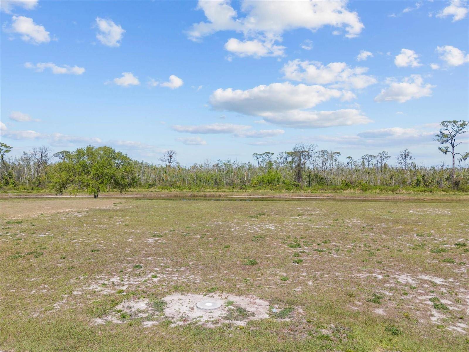 345 ADAMS VIEW LN, Auburndale, FL 33823