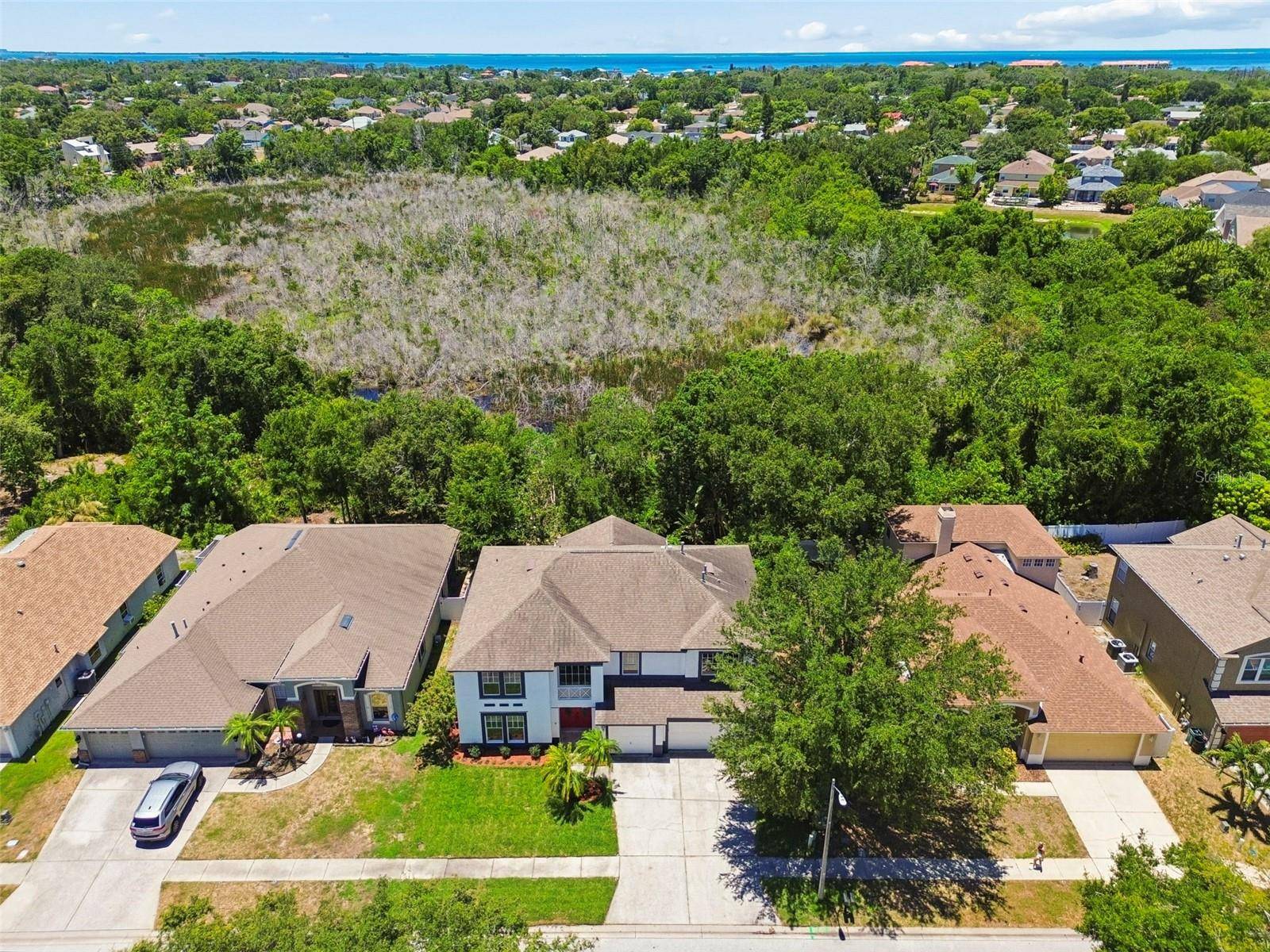1828 LONGVIEW LN, Tarpon Springs, FL 34689
