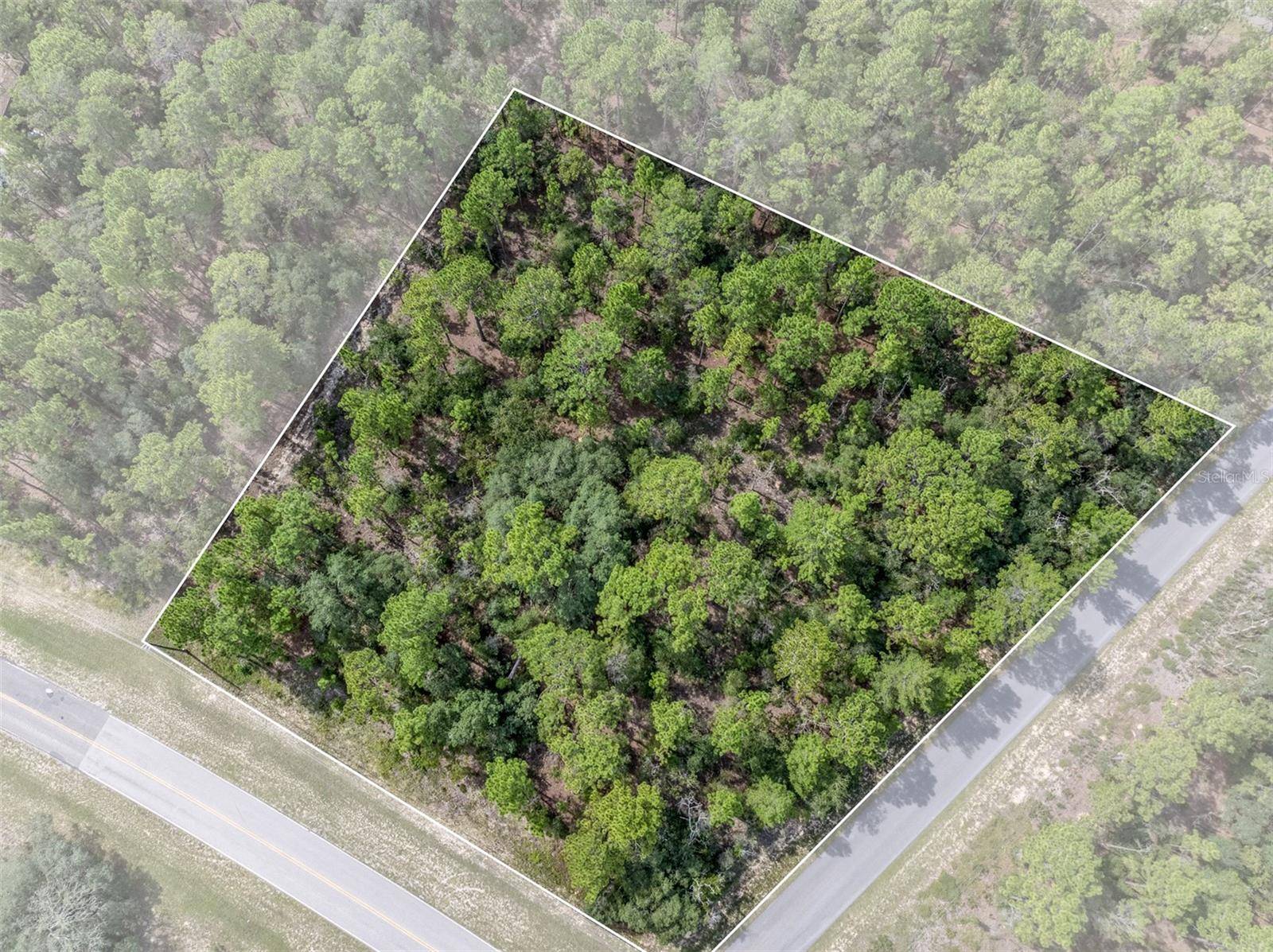 7293 N WINDBROOK DR, Citrus Springs, FL 34433