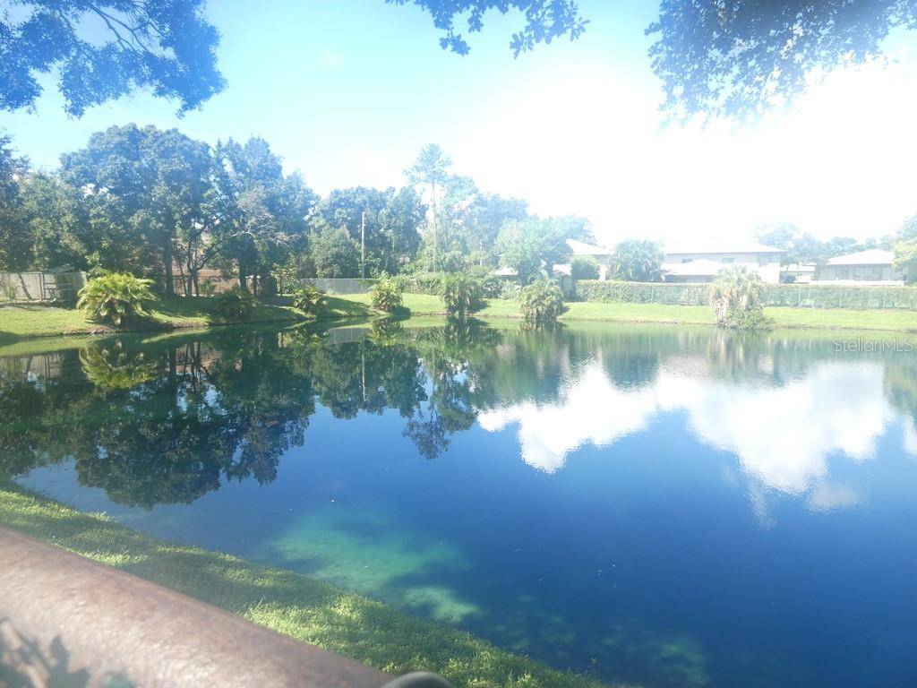 104 BOUGH AVE #104, Clearwater, FL 33760