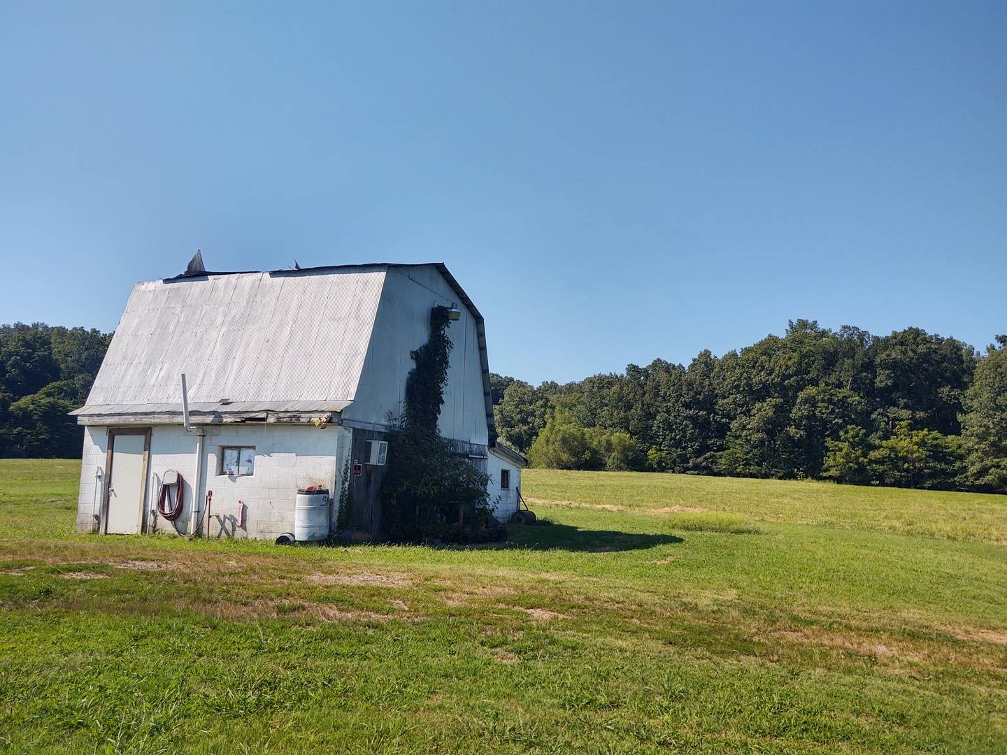 7020 Buncombe RD, Buncombe, IL 62912