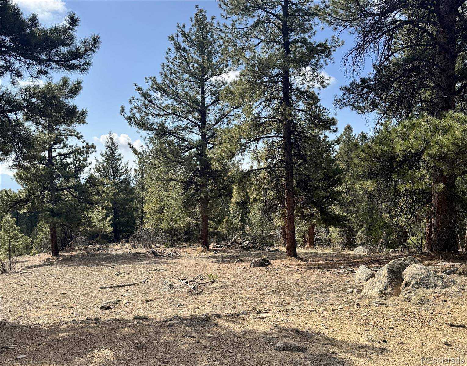 30317 Aspen Turn, Buena Vista, CO 81211
