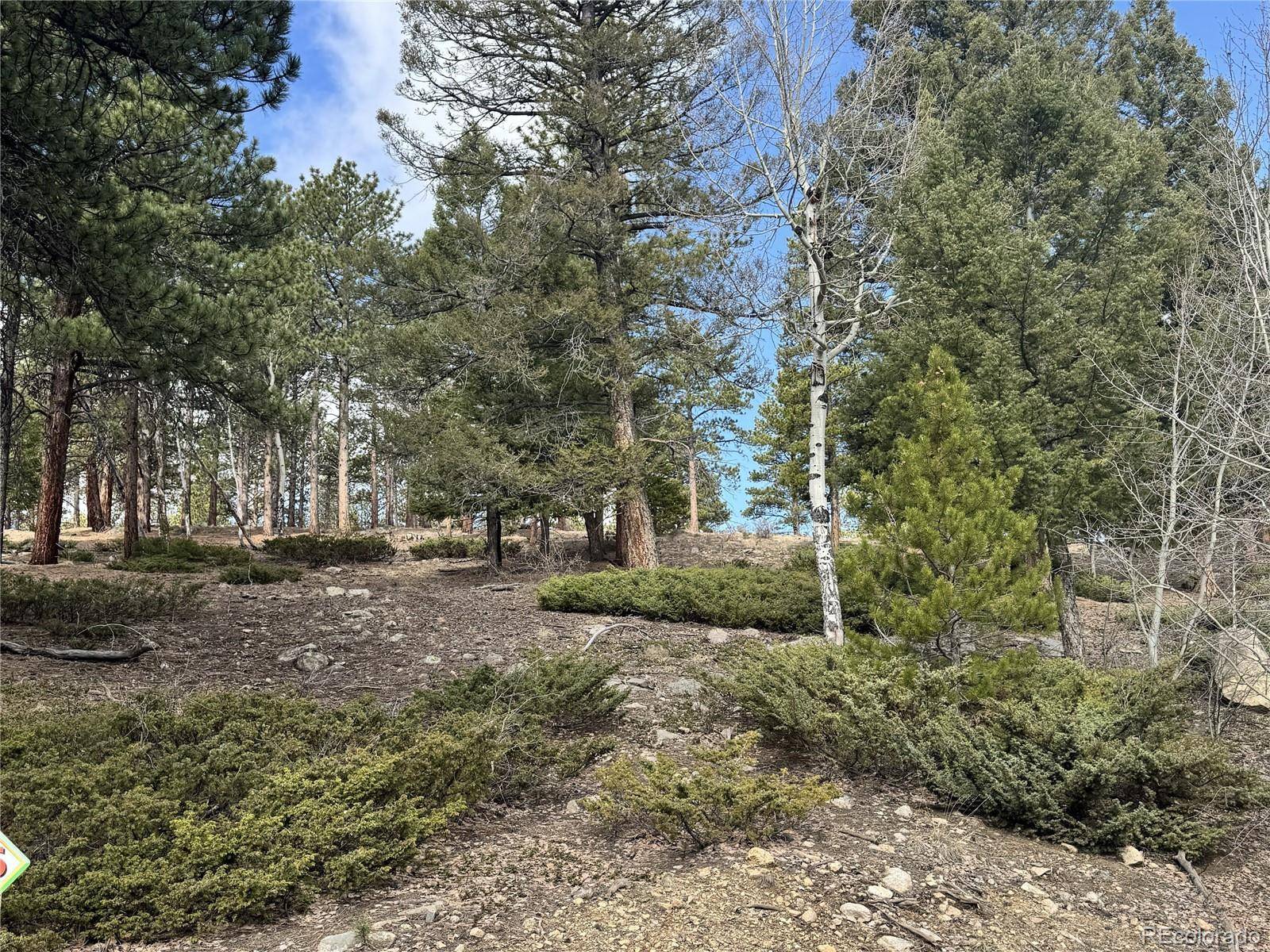 30317 Aspen Turn, Buena Vista, CO 81211