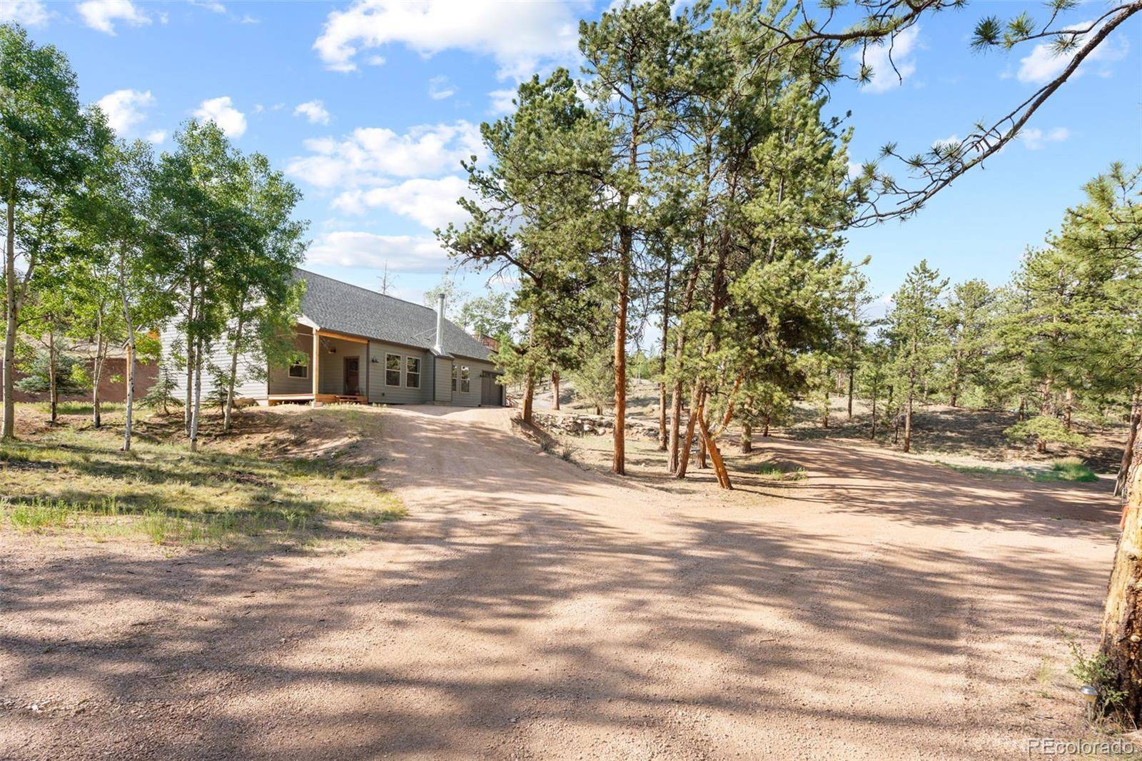 2270 Pikes Peak DR, Florissant, CO 80816
