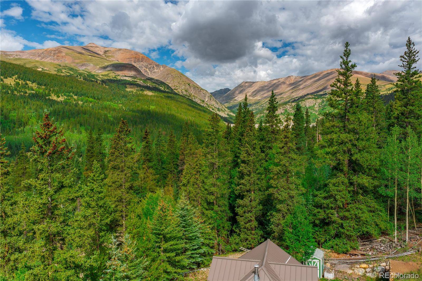 420 Nuthatch DR, Alma, CO 80420