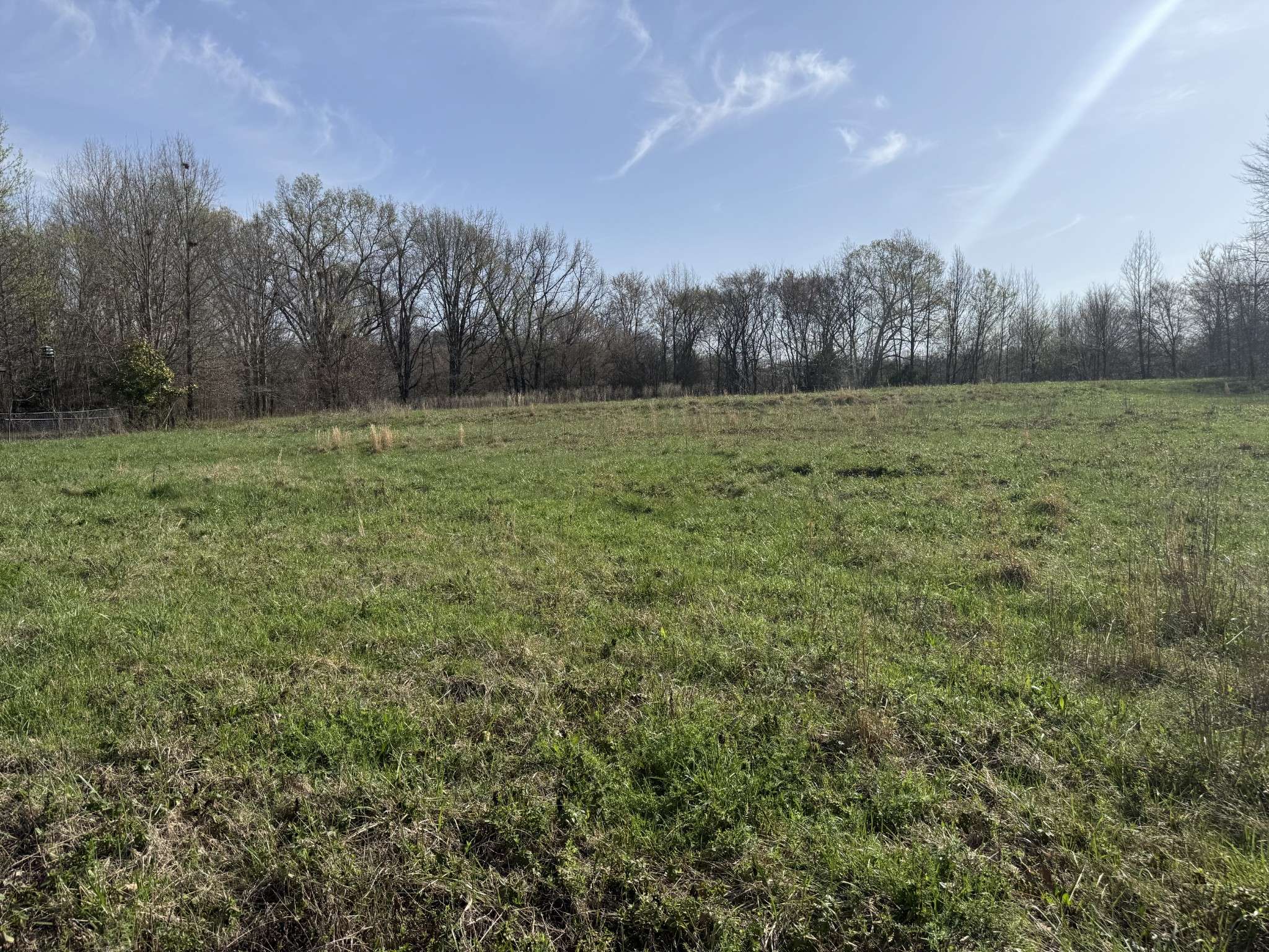 6080 Durhamville Rd, Ripley, TN 38063
