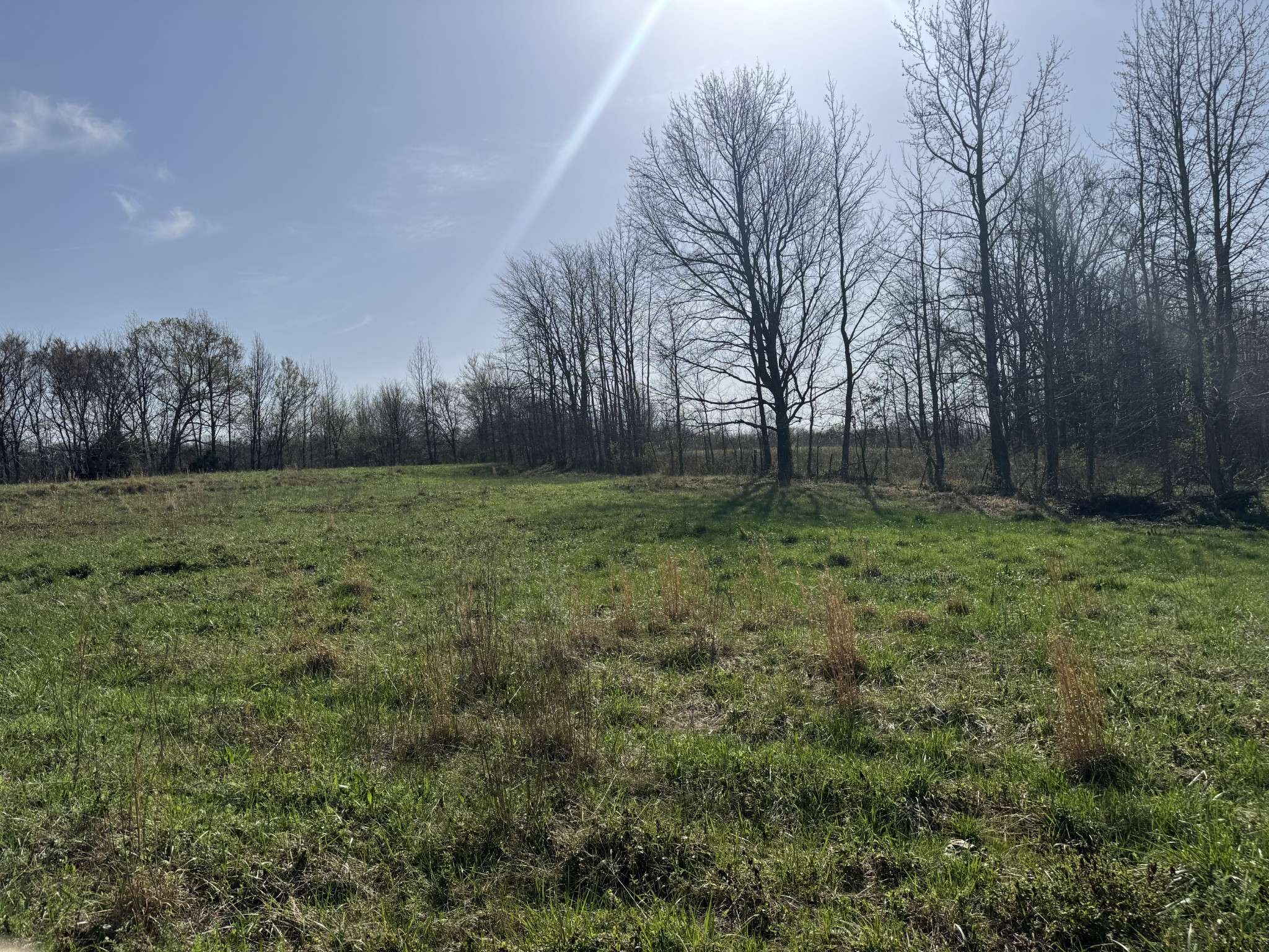 6080 Durhamville Rd, Ripley, TN 38063