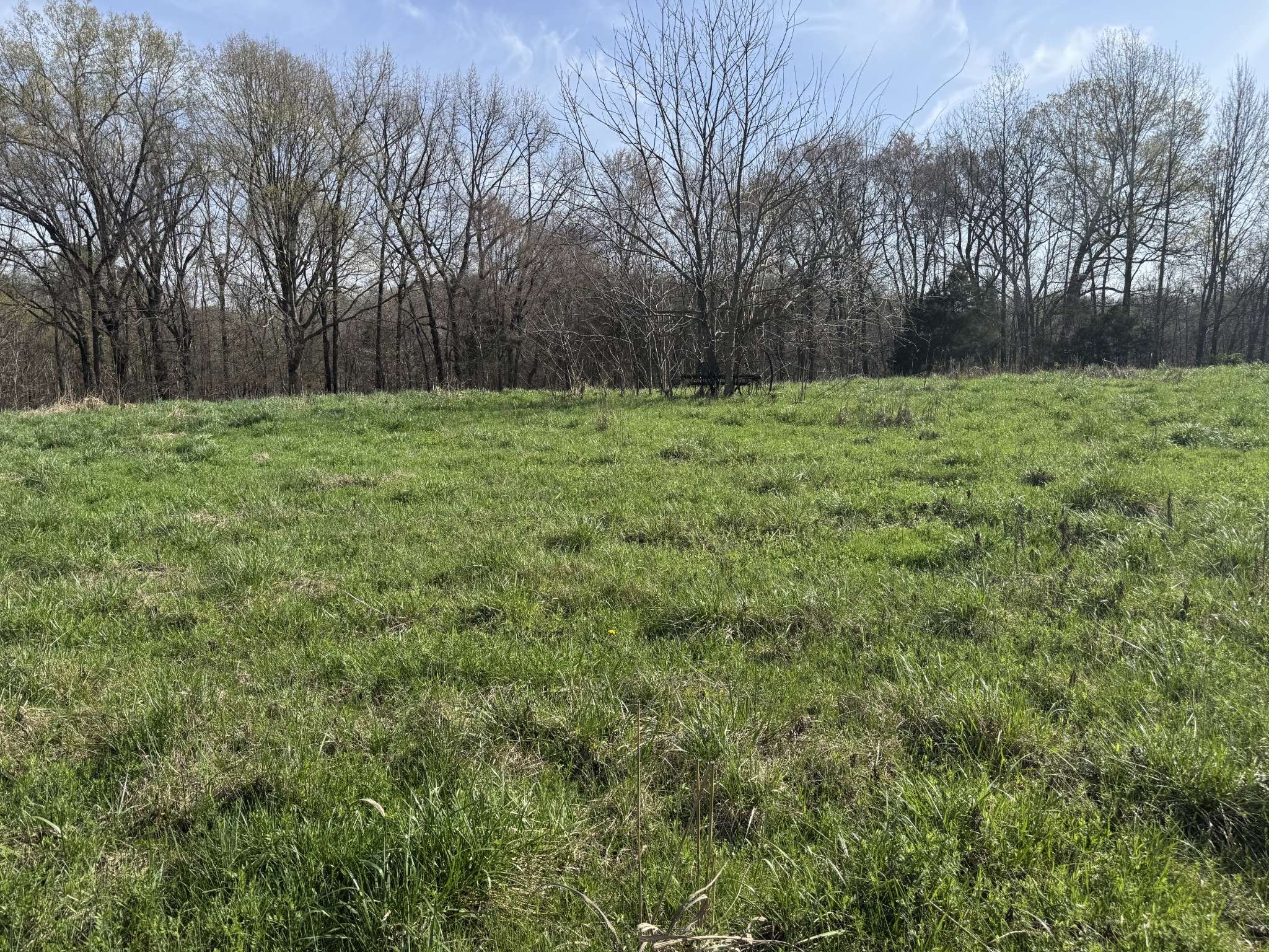 6080 Durhamville Rd, Ripley, TN 38063