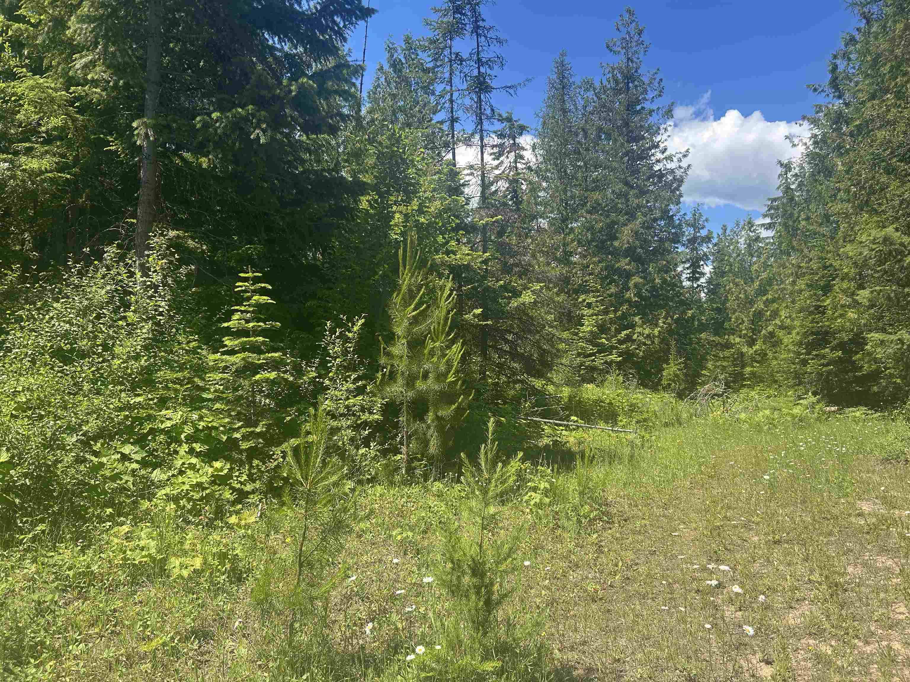 00 N Foster Ln, Cusick, WA 99180