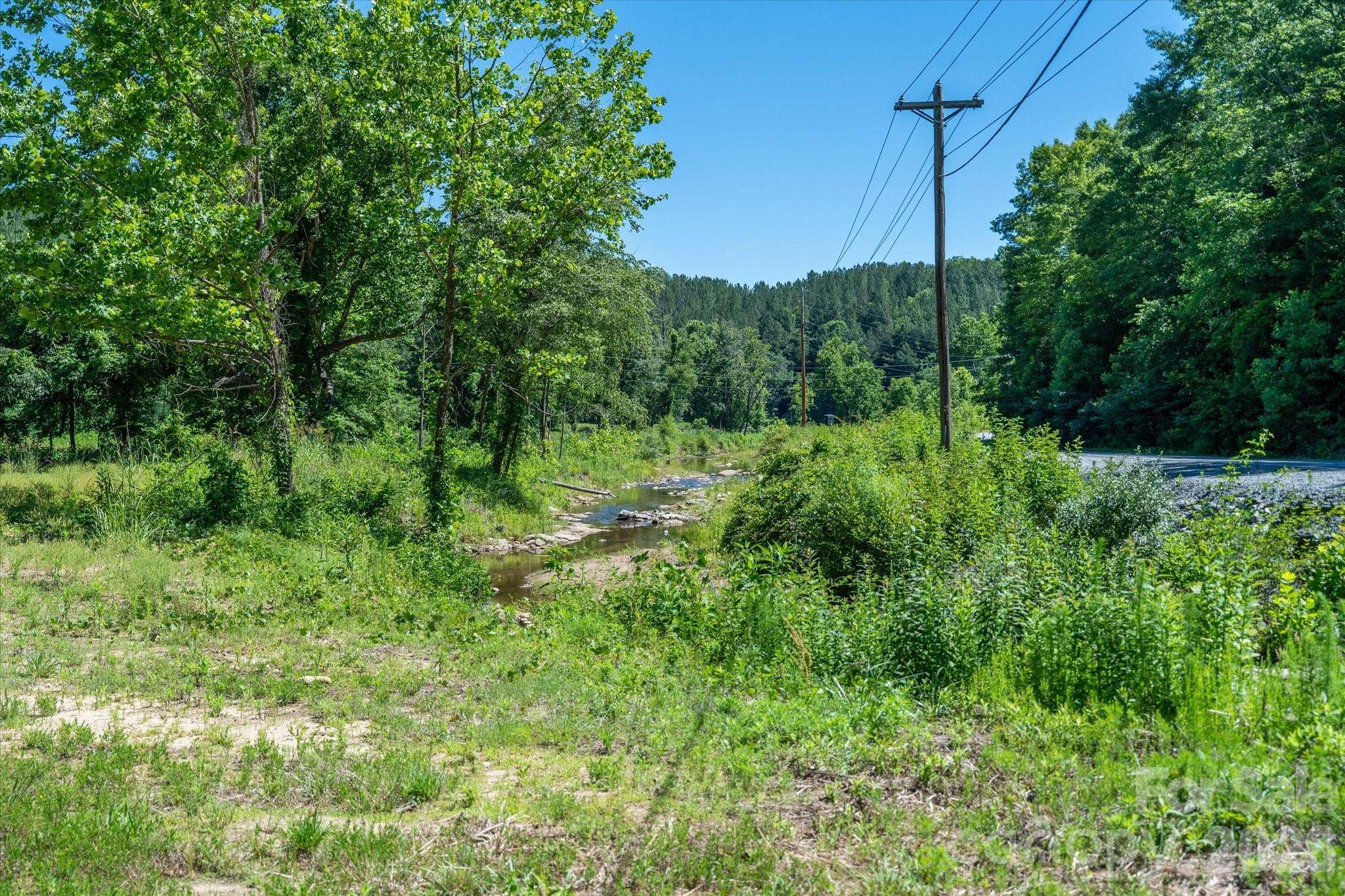 1194 Palmer RD, Mill Spring, NC 28756