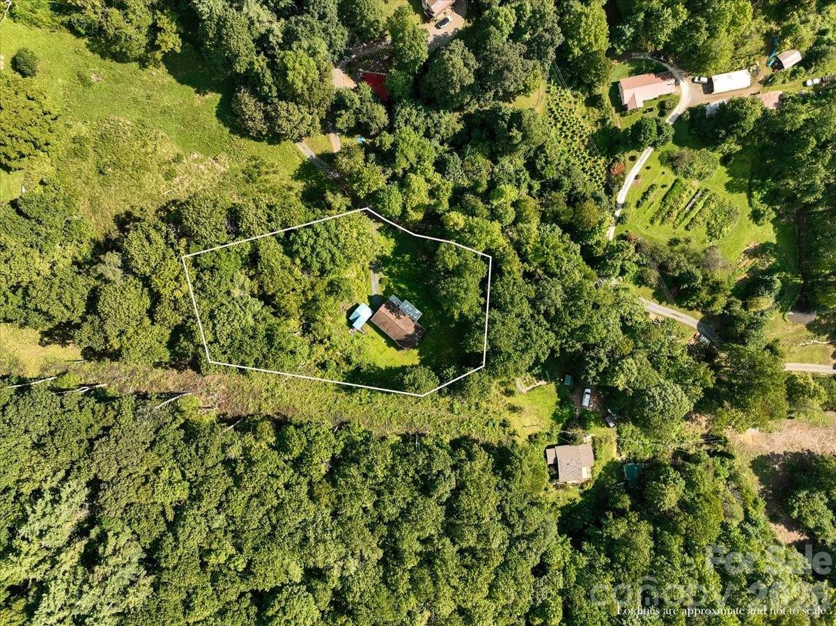 195 Banjo Branch RD, Burnsville, NC 28714