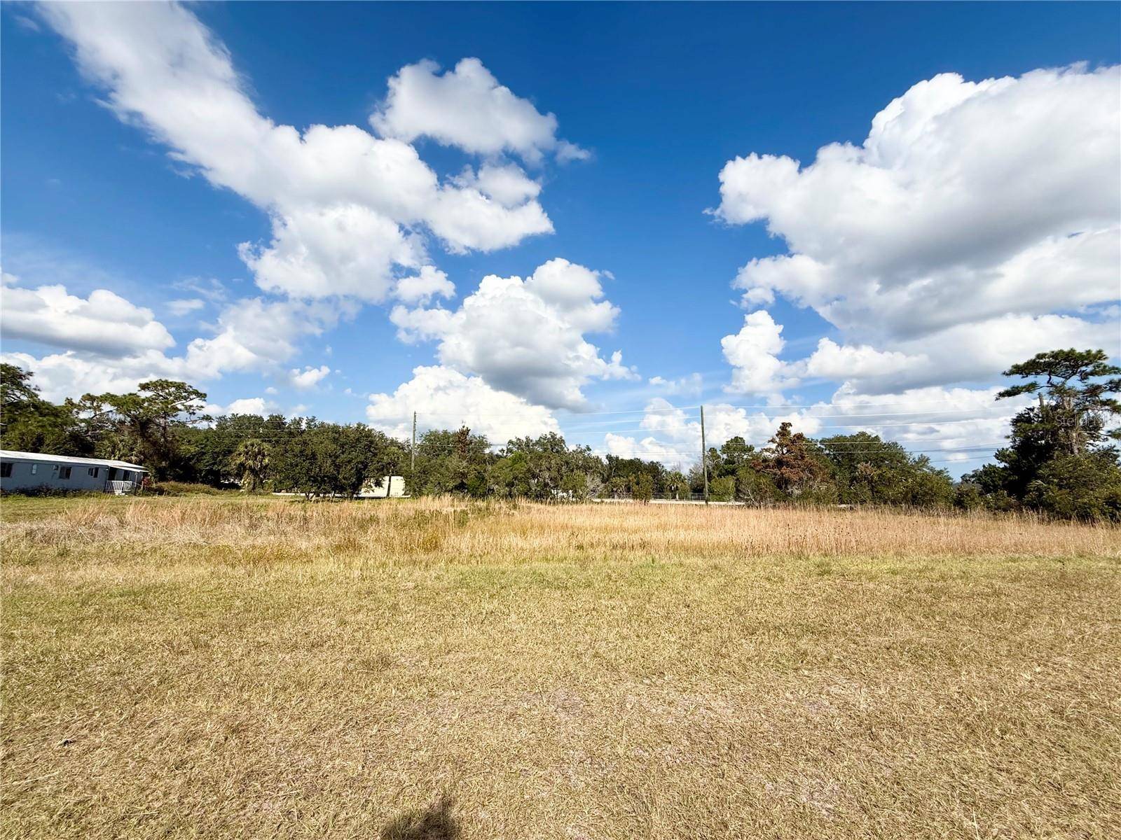 LOT 9 FORT CHRISTMAS RD, Christmas, FL 32709