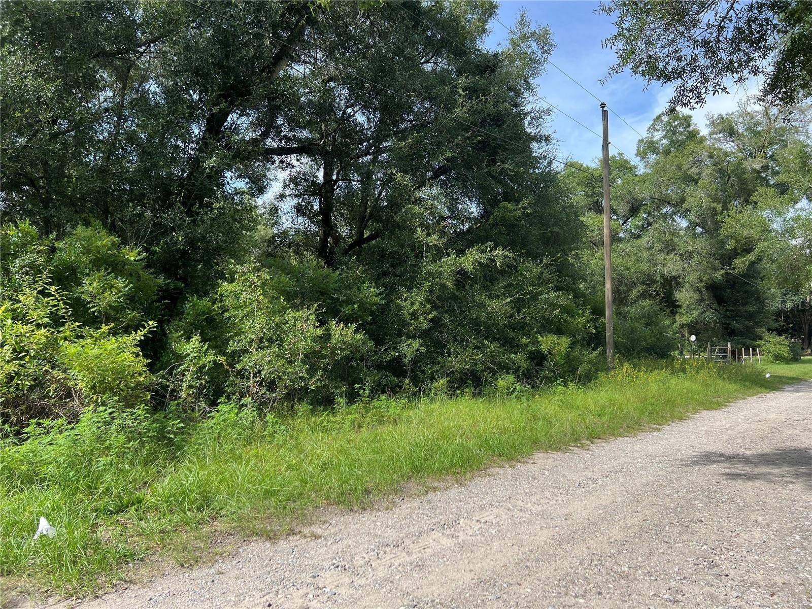 3677 E YANDLE PL, Inverness, FL 34453