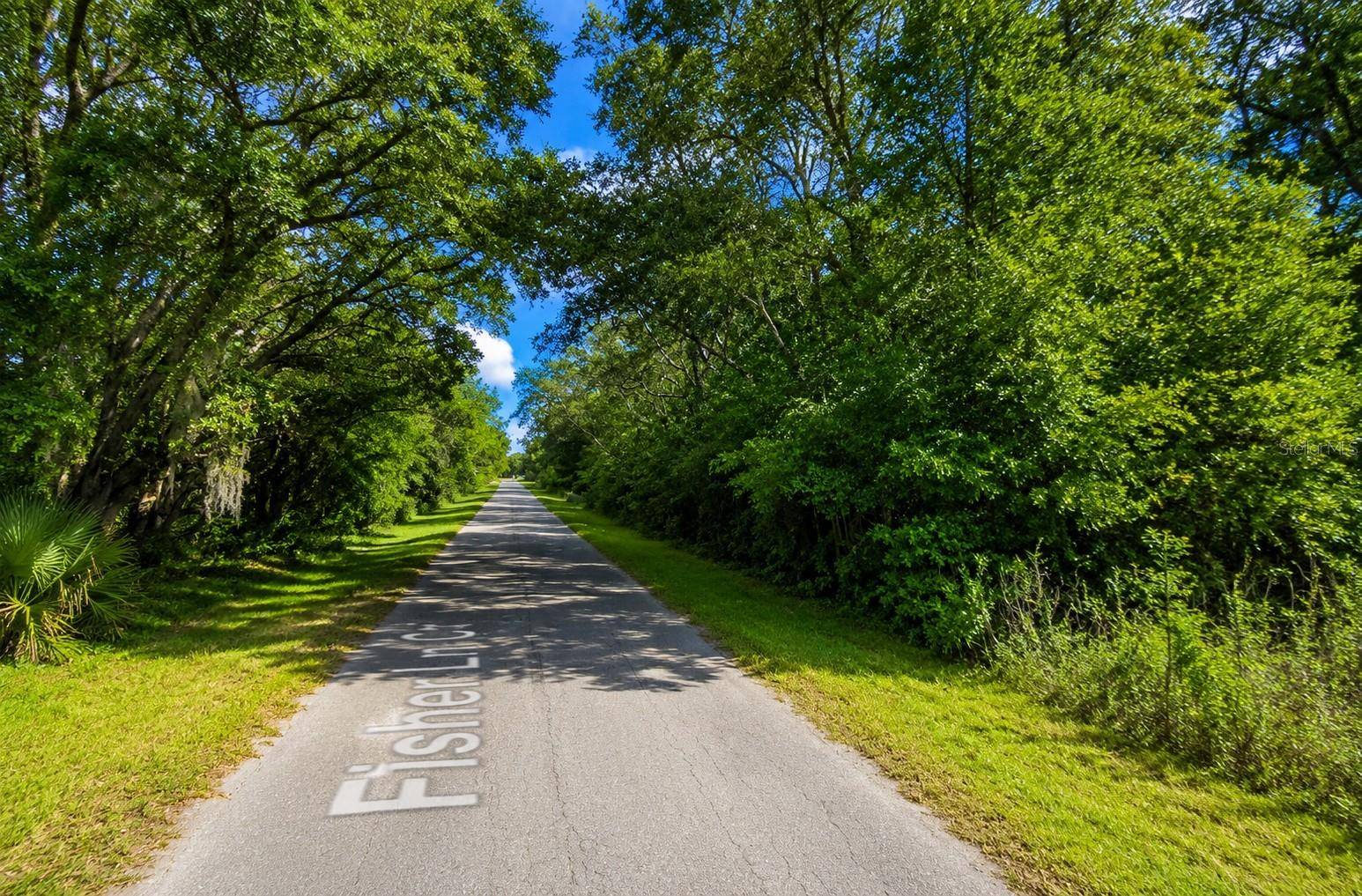 FISHER LN CT, Ocklawaha, FL 32179