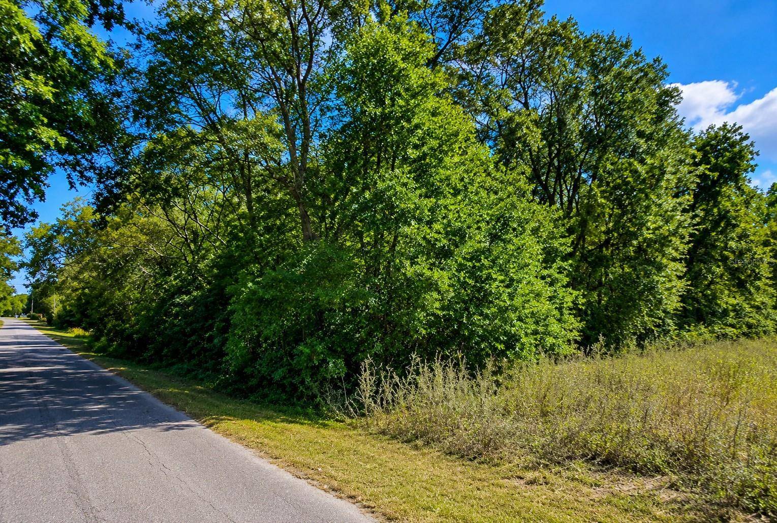 FISHER LN CT, Ocklawaha, FL 32179