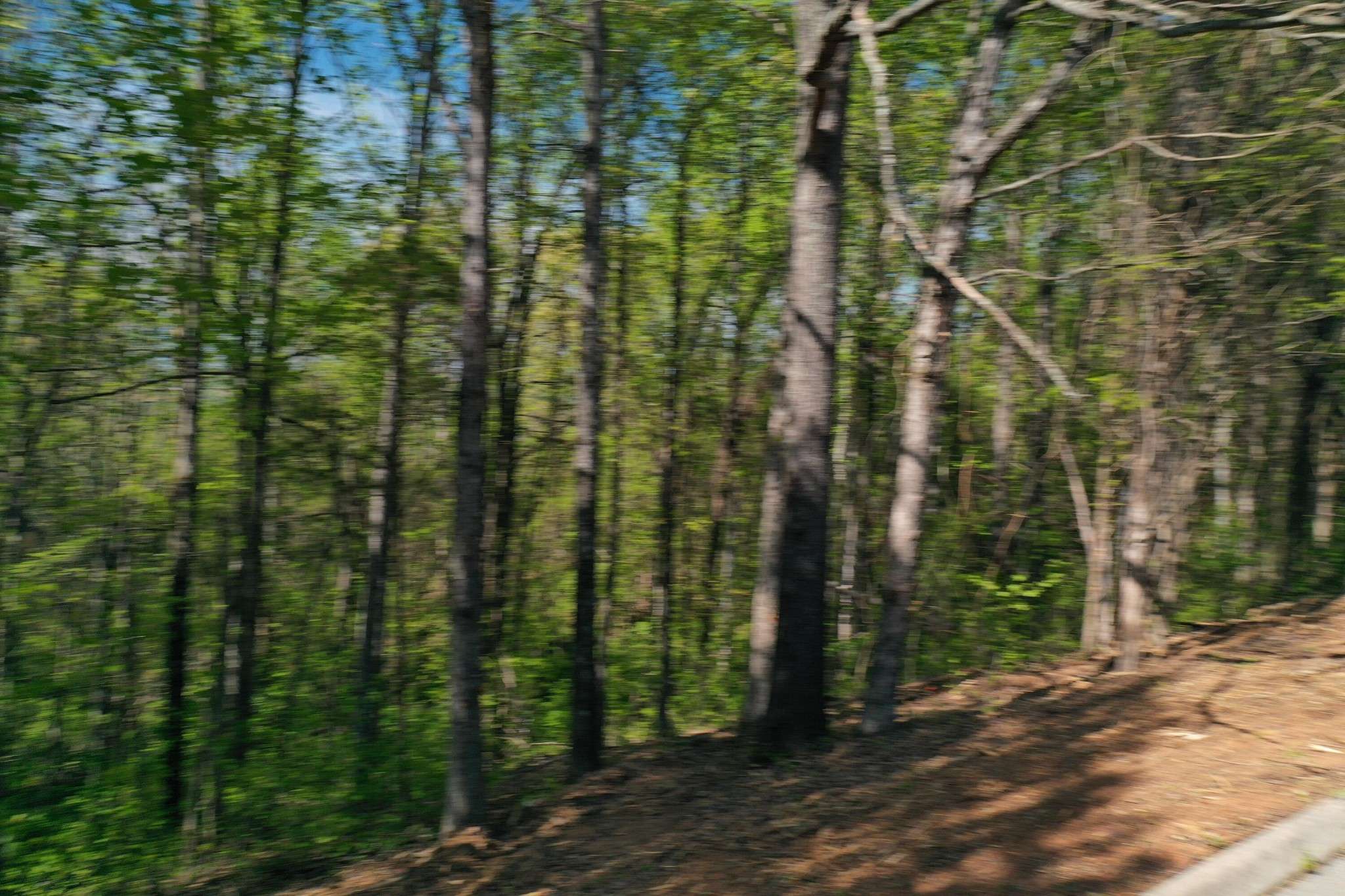 0 Elm Lane, Sweetwater, TN 37874