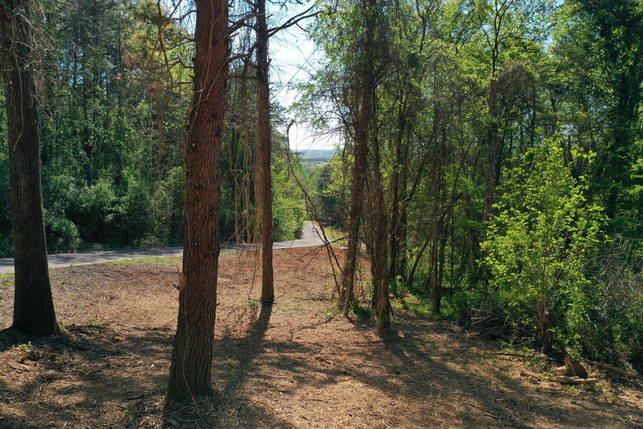 0 Elm Lane, Sweetwater, TN 37874