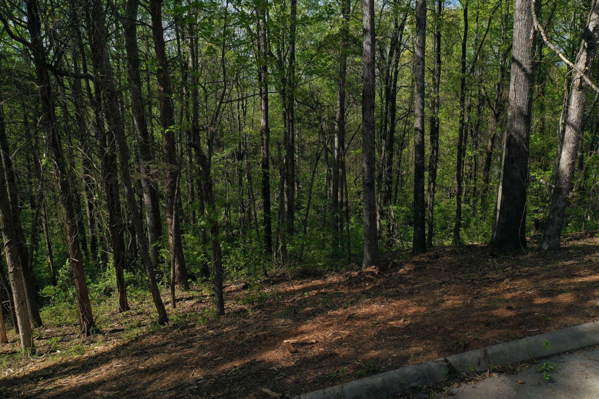 0 Elm Lane, Sweetwater, TN 37874