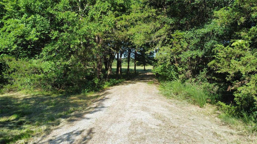 1979 CR 1135, Ravenna, TX 75476
