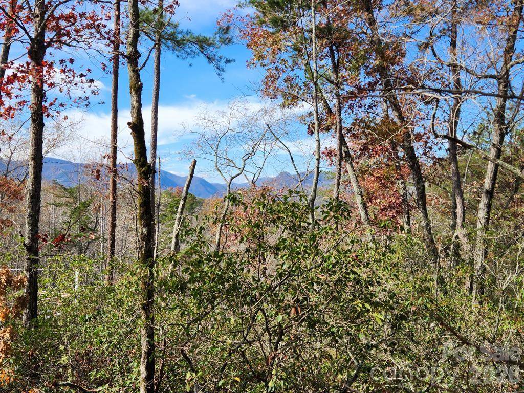 0 Sparrows WAY #46, Lake Lure, NC 28746