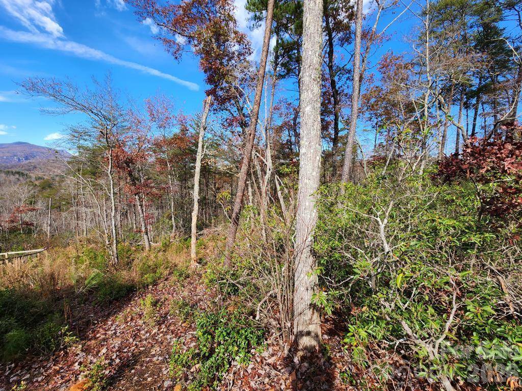 0 Sparrows WAY #46, Lake Lure, NC 28746