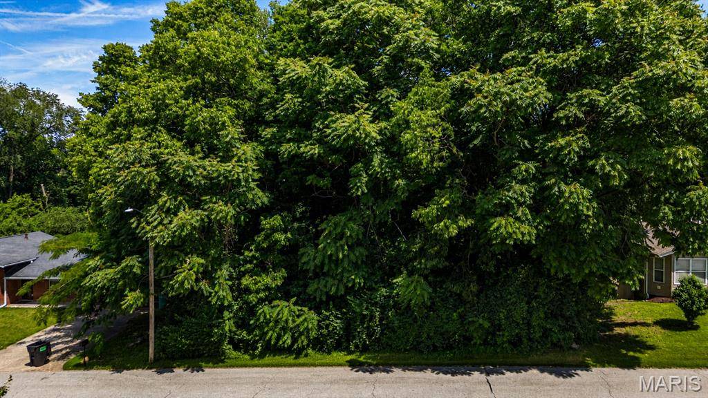 0 Montclair, Fairview Heights, IL 62208