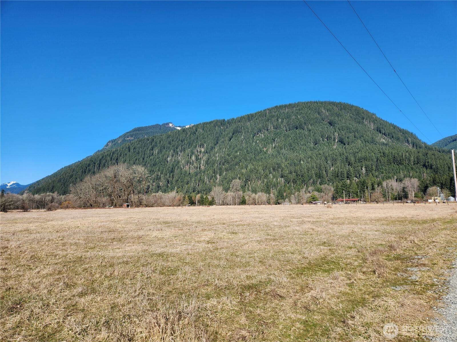 112 Horseshoe LN, Randle, WA 98593