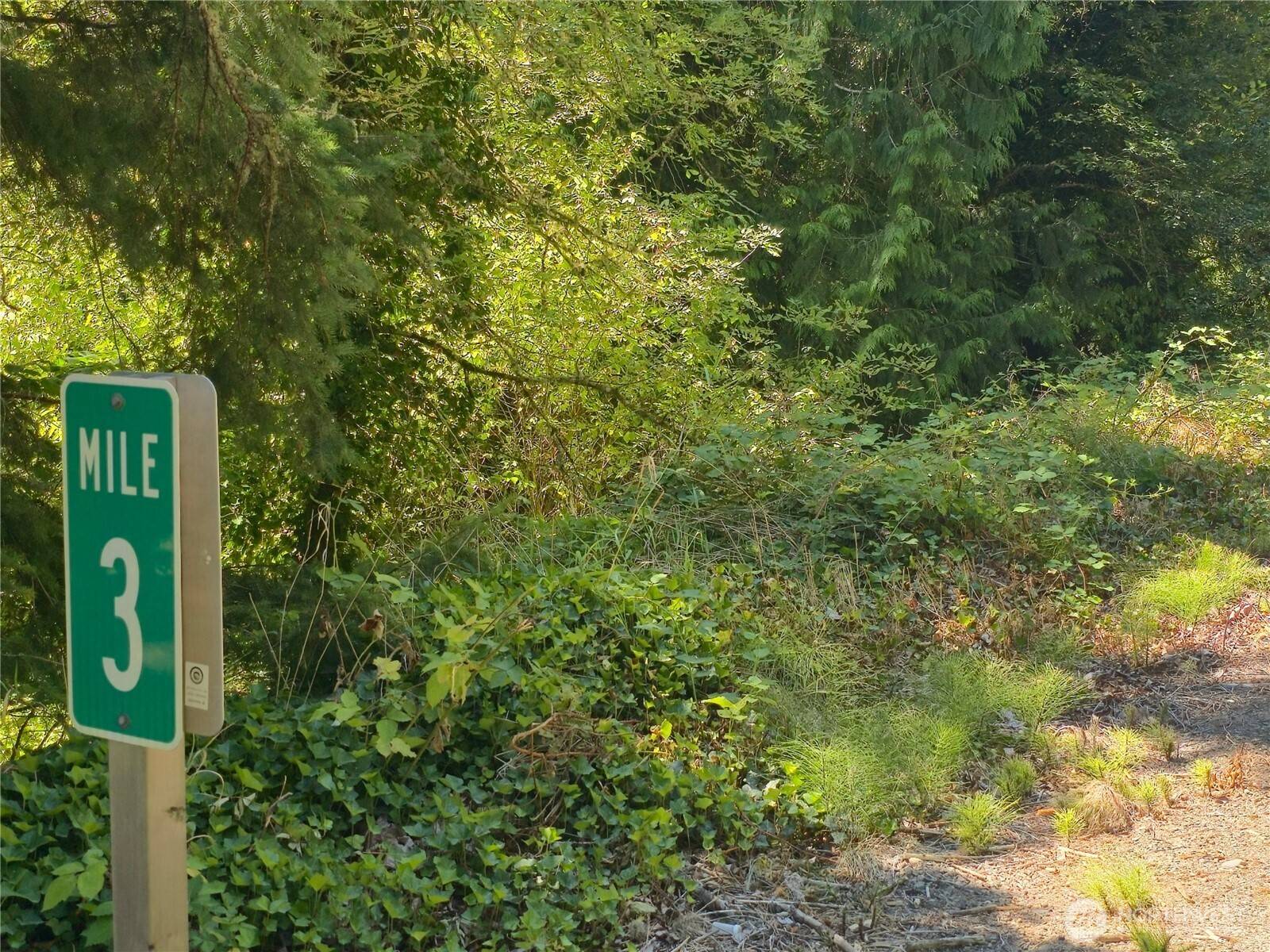 38025 Orville RD E, Eatonville, WA 98360