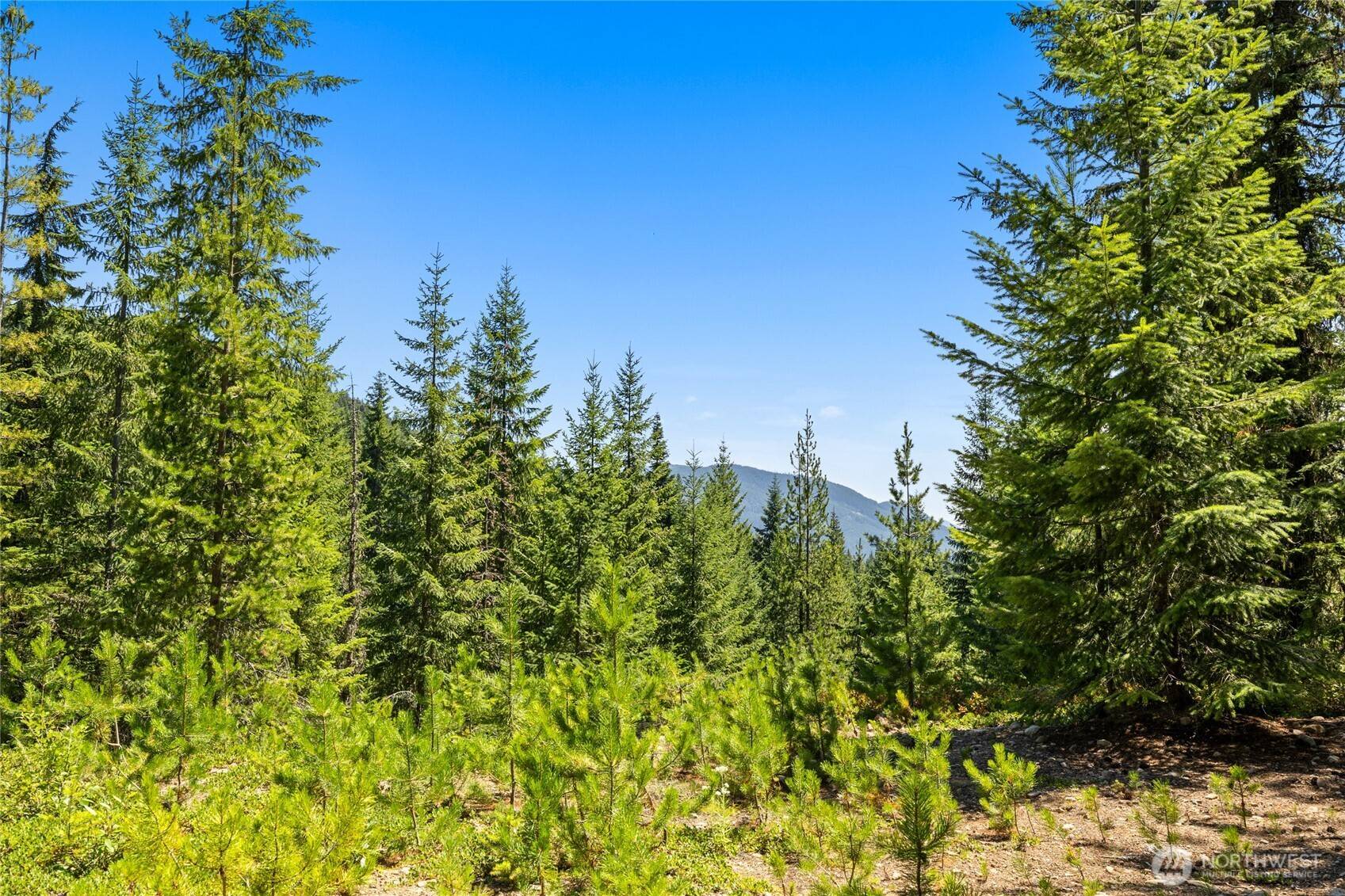 0 FSR 4832, Easton, WA 98925