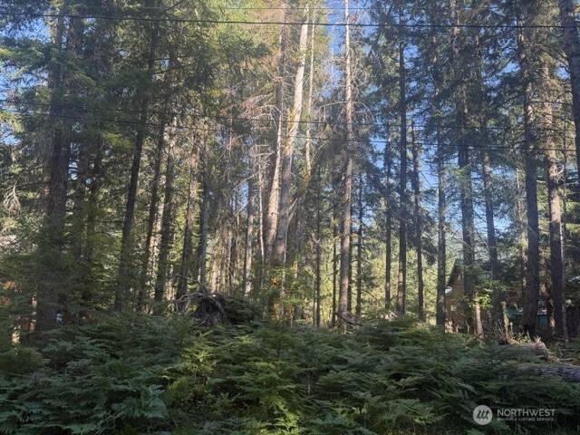 17221 River View WAY E, Enumclaw, WA 98022