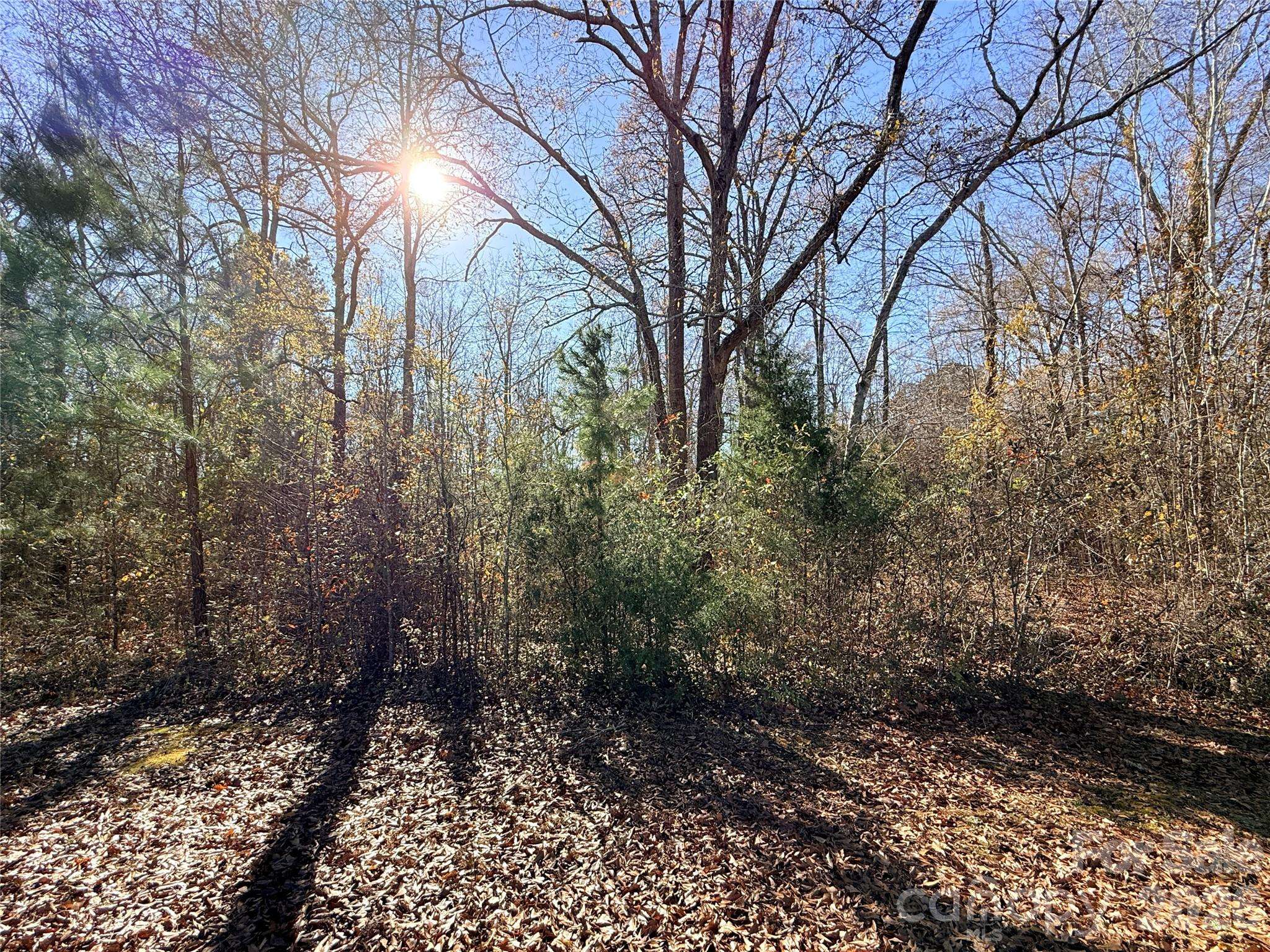 Lot 24 Avalon LN #24, Lancaster, SC 29720