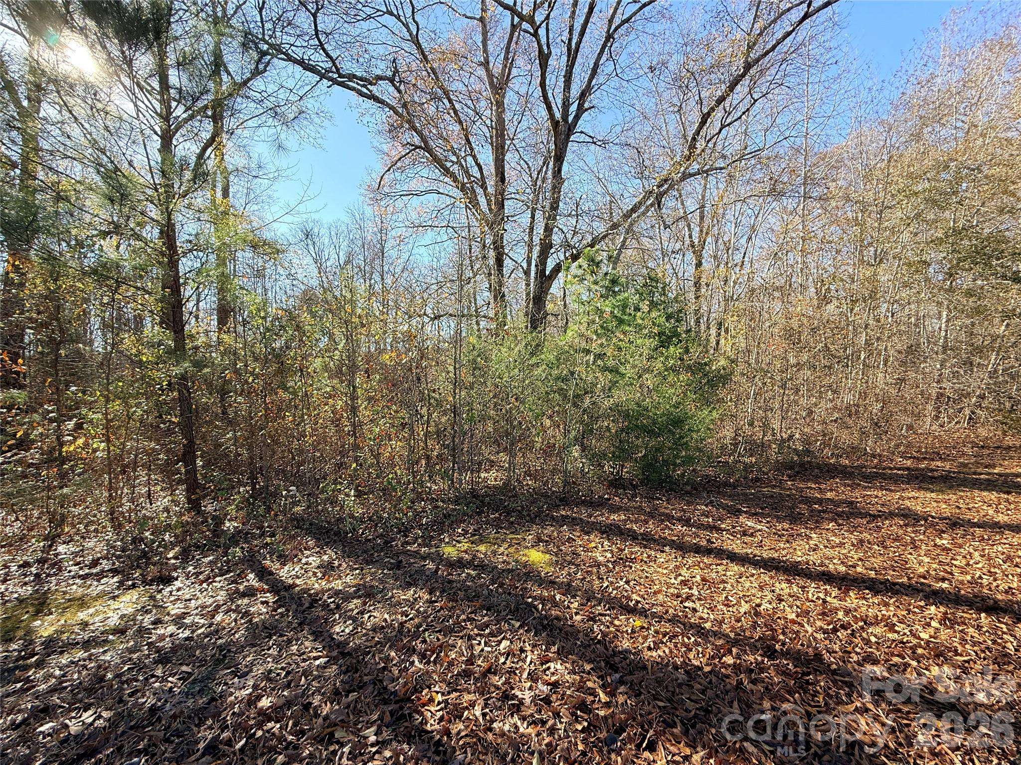 Lot 24 Avalon LN #24, Lancaster, SC 29720