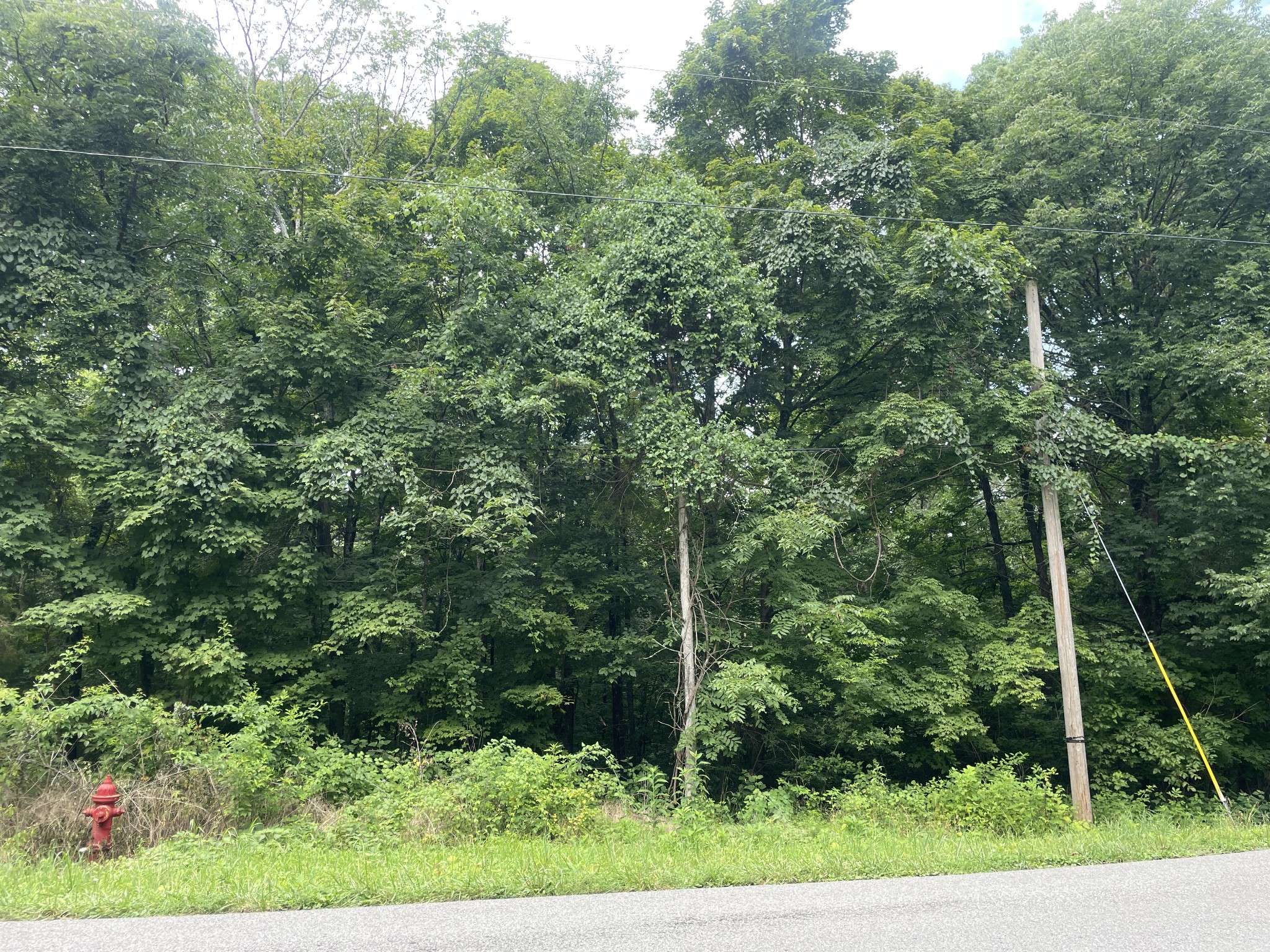 1535 Mount Olivet Rd, Hendersonville, TN 37075