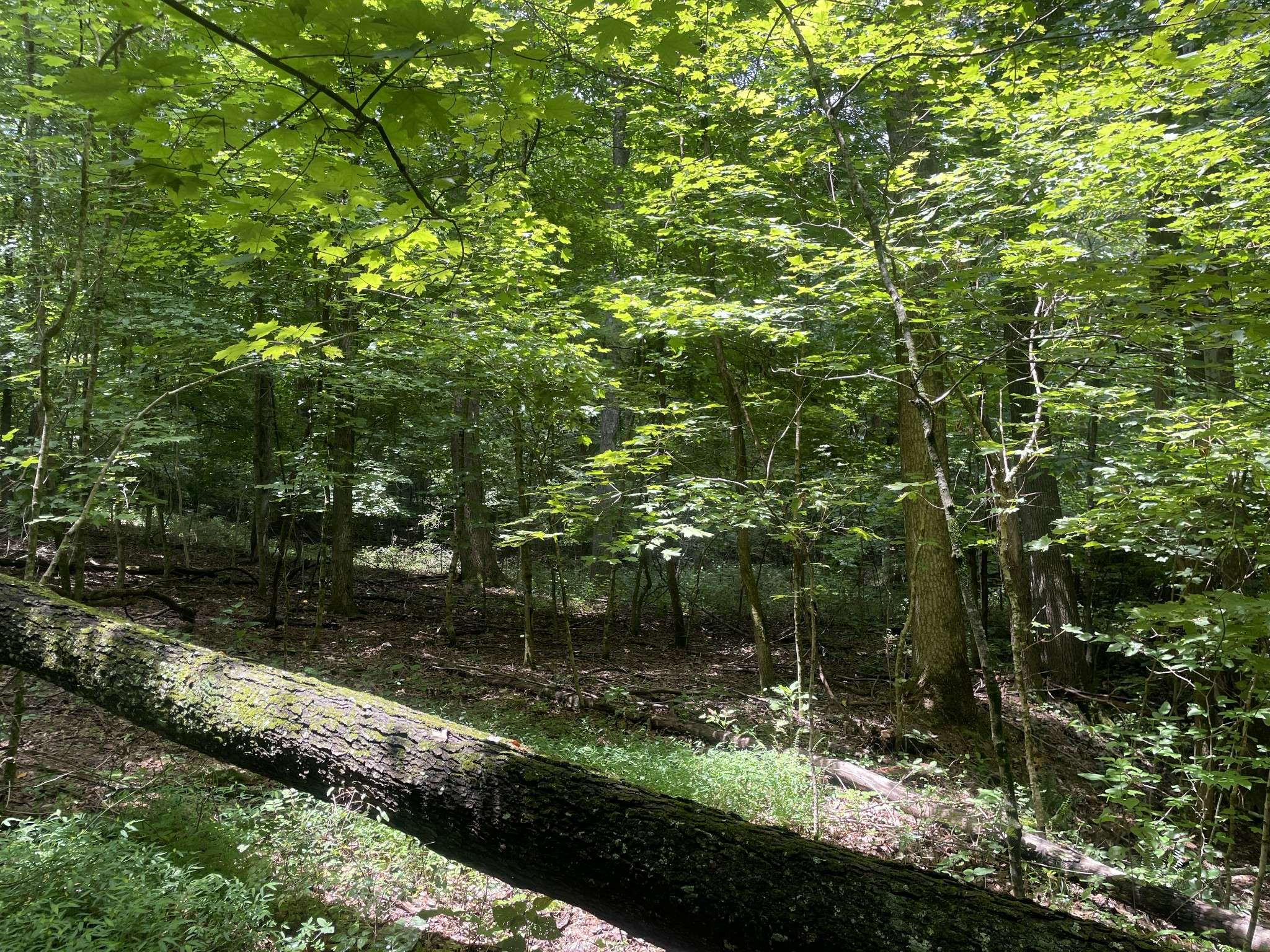 1535 Mount Olivet Rd, Hendersonville, TN 37075