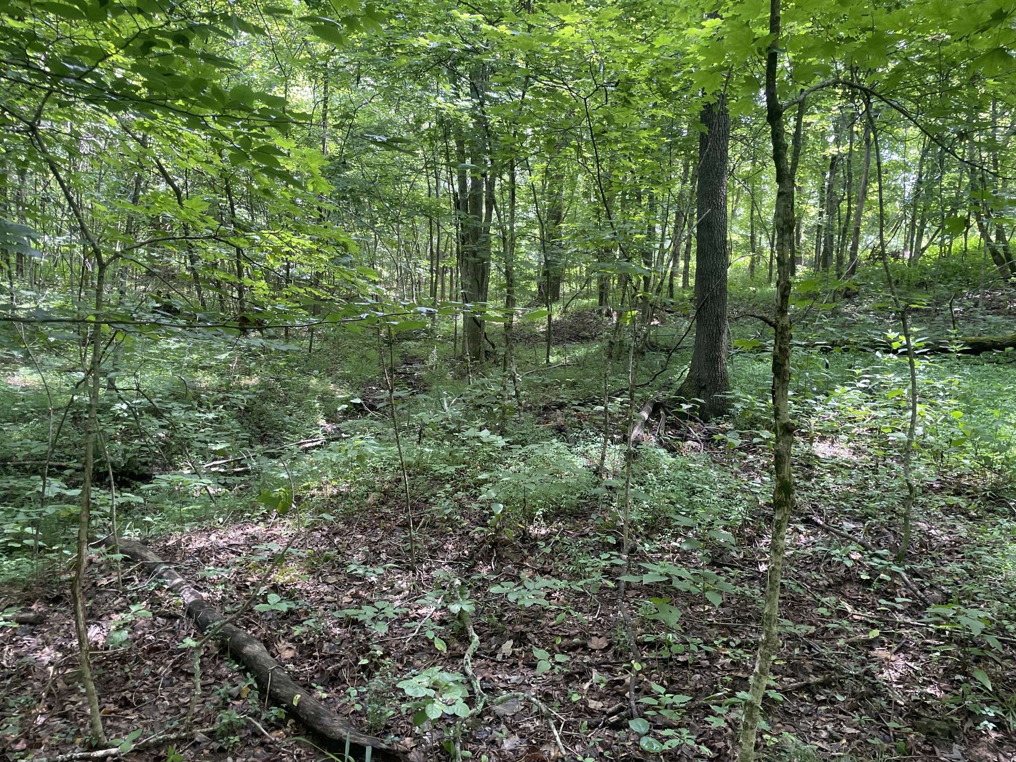 1535 Mount Olivet Rd, Hendersonville, TN 37075