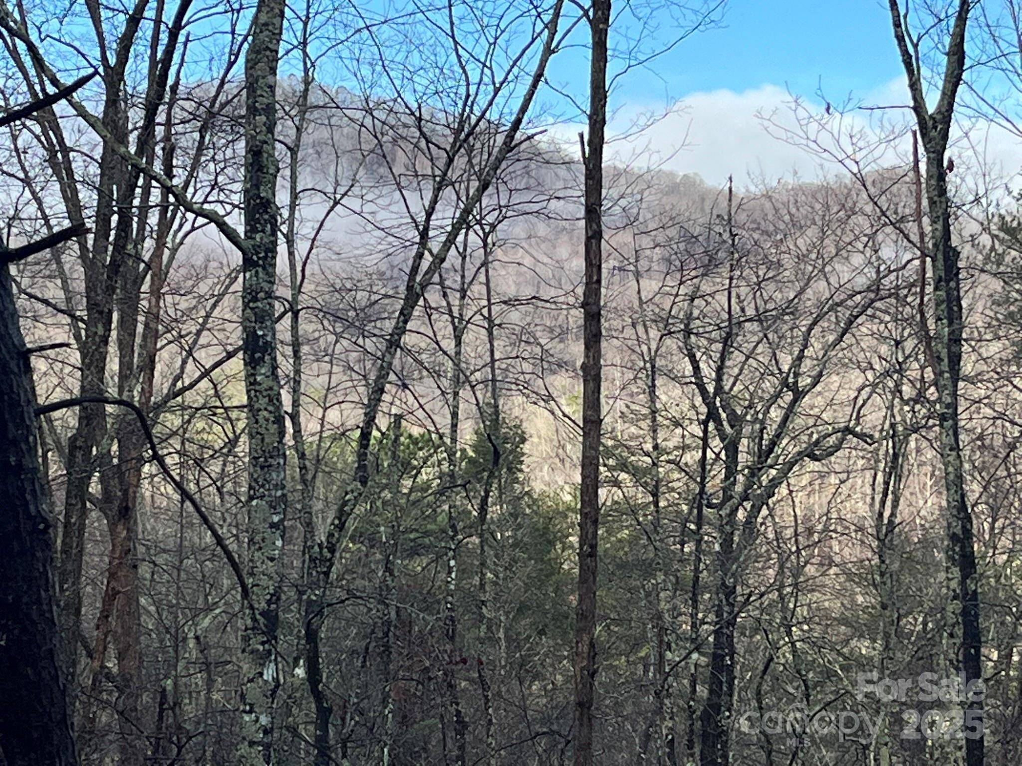 00 Ridgecrest DR, Lake Lure, NC 28746