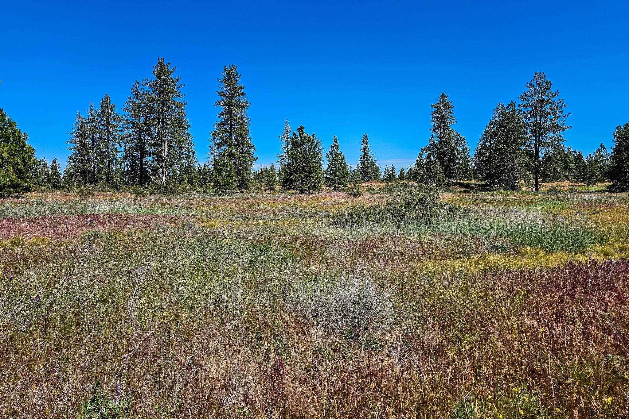 51200 E Whispering Pines Dr, Reardan, WA 99029