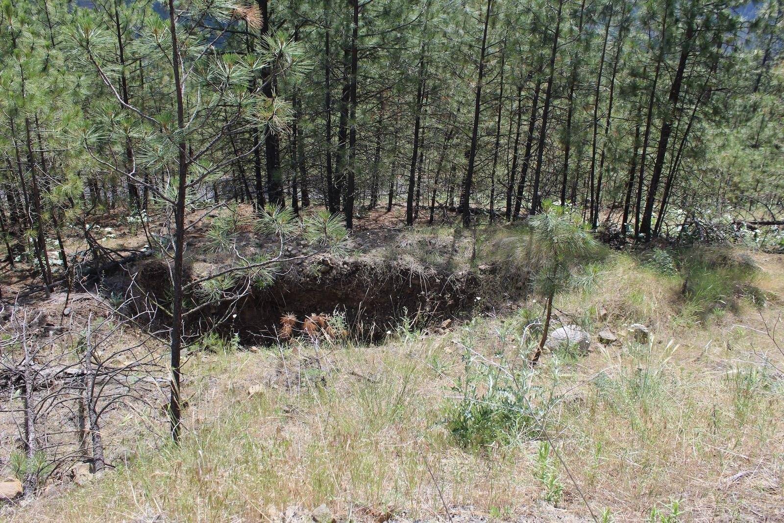 Badger Lot 1&2 Sontag Ridge Ln, Davenport, WA 99122
