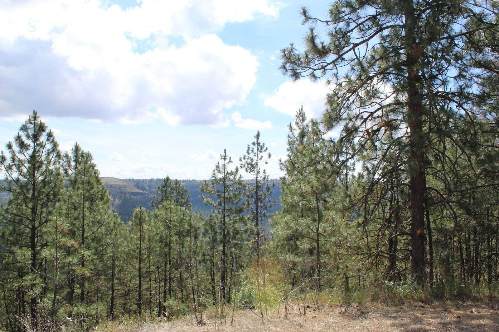 Badger Lot 1&2 Sontag Ridge Ln, Davenport, WA 99122